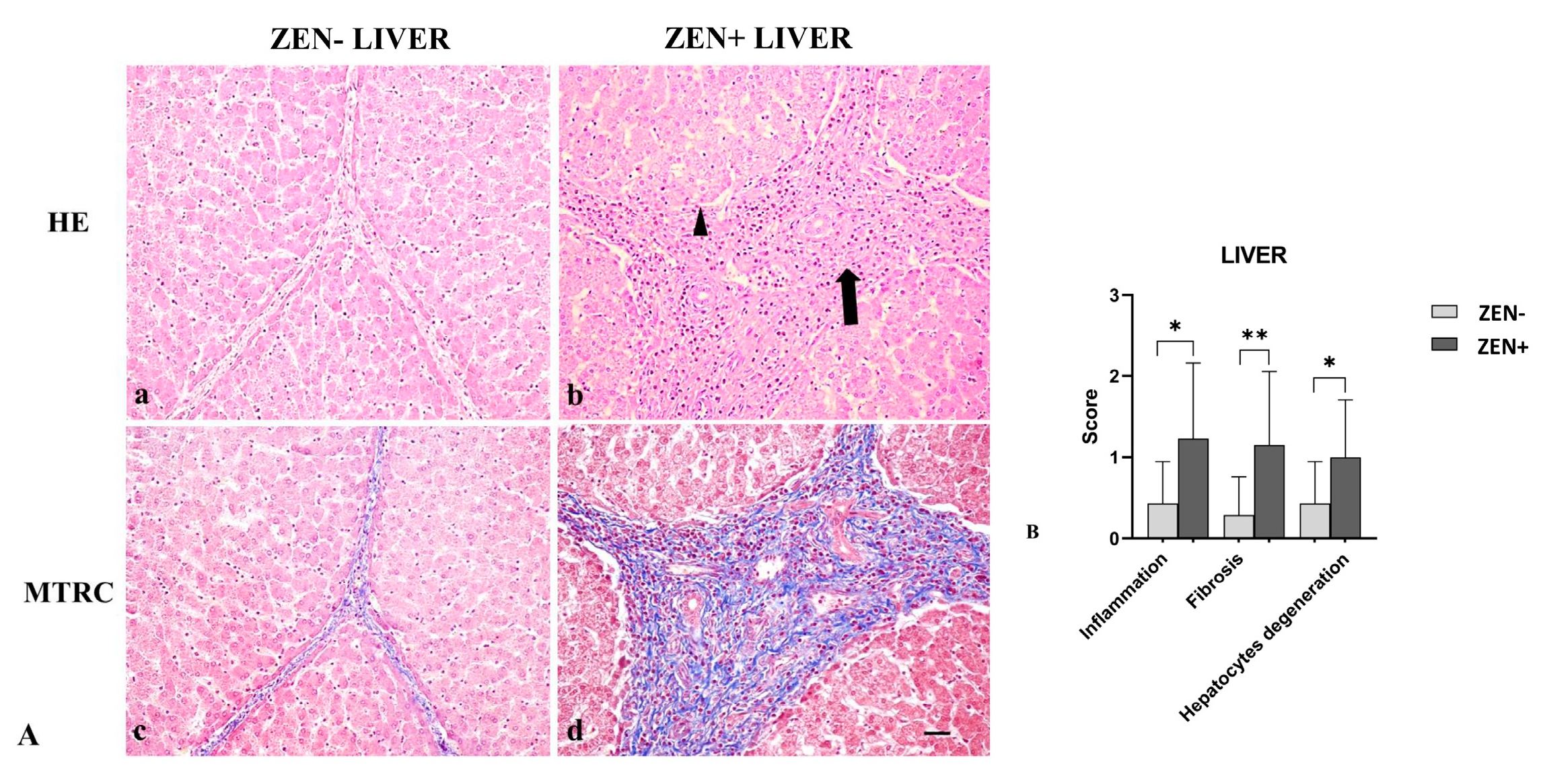 Antioxidants 12 01748 g003