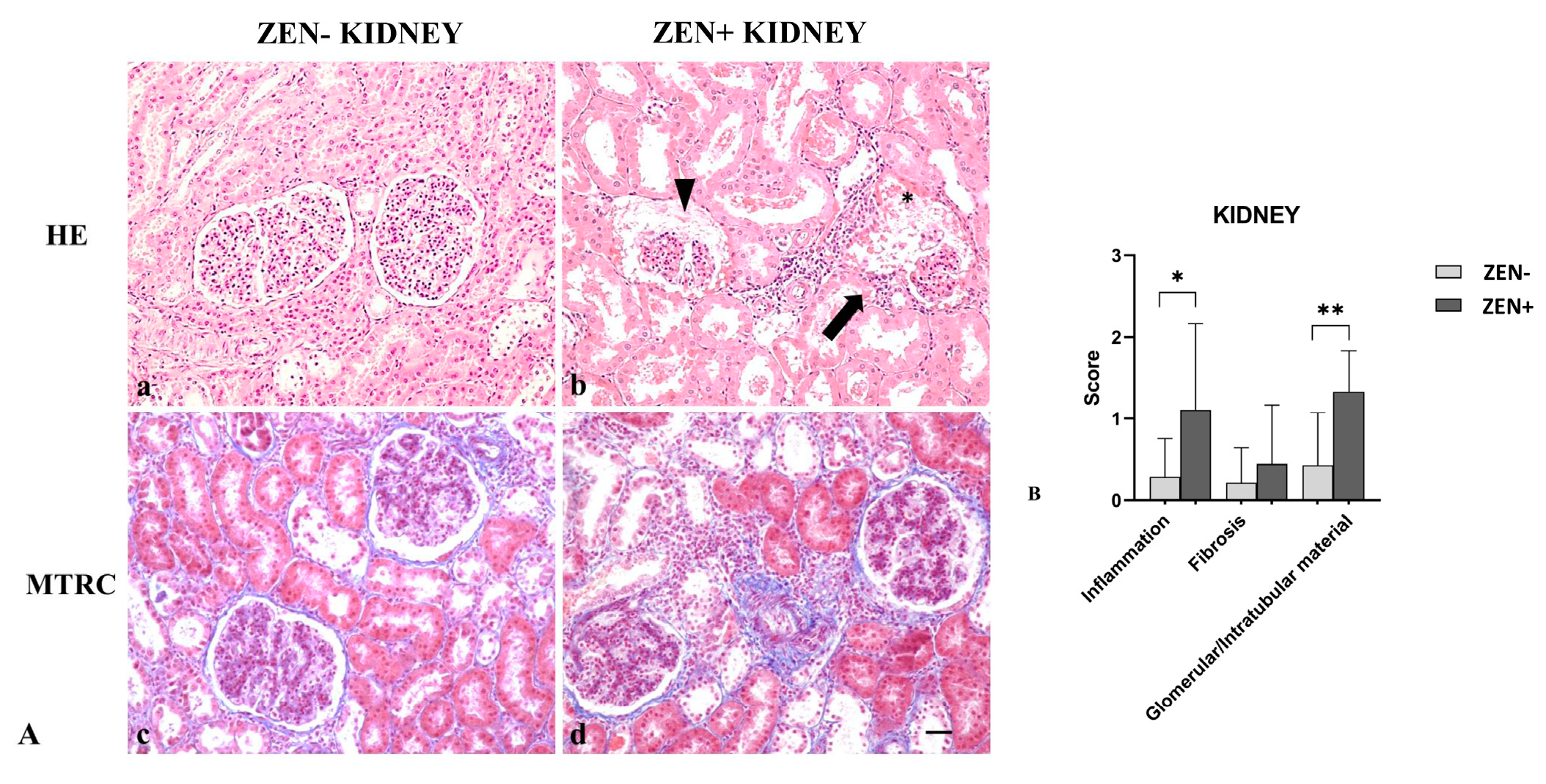 Antioxidants 12 01748 g004