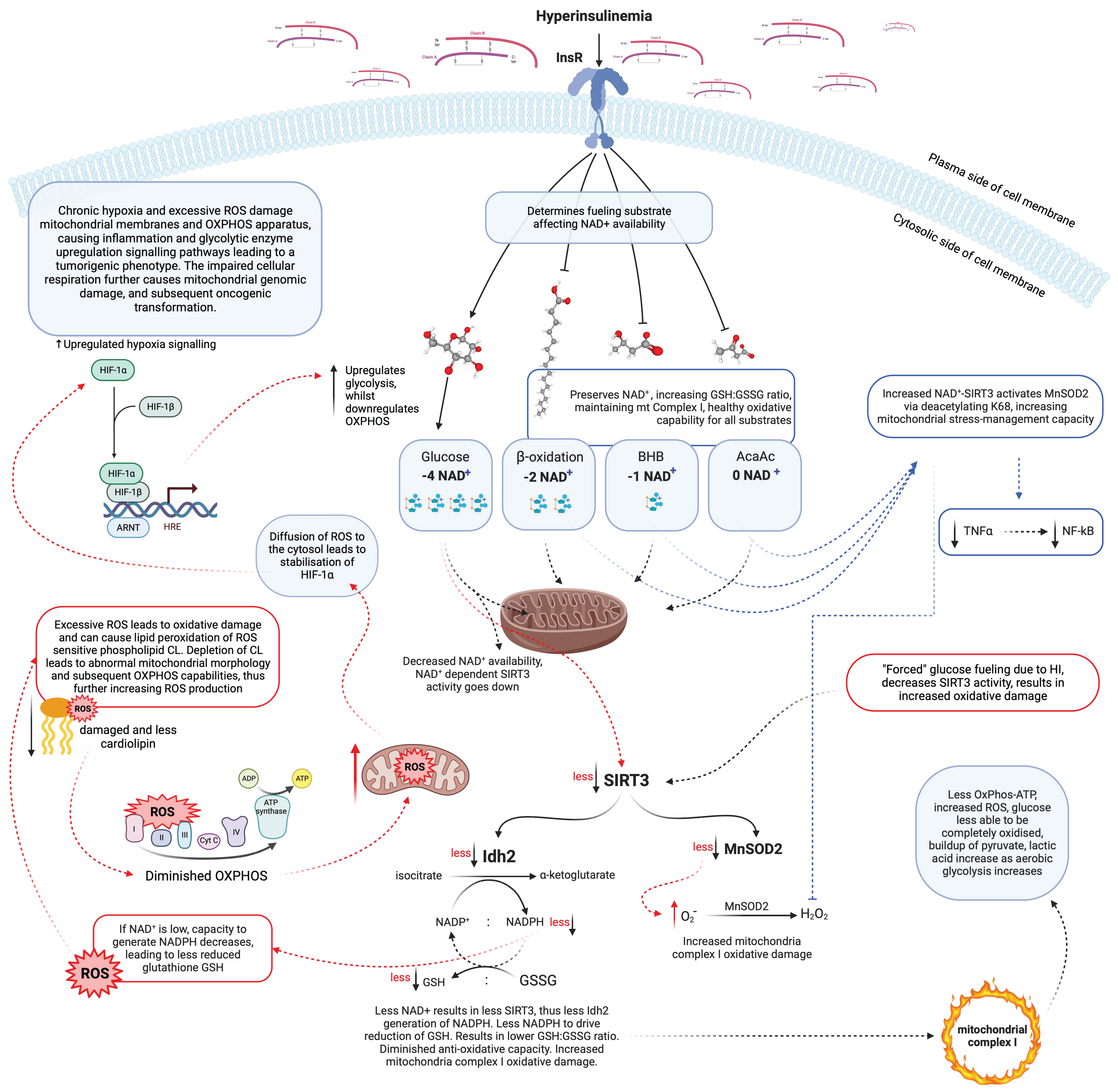 Antioxidants 12 01749 g002