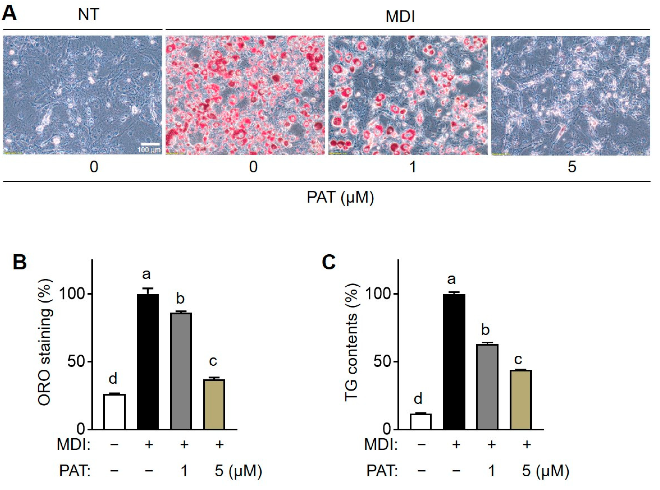 Antioxidants 12 01750 g002
