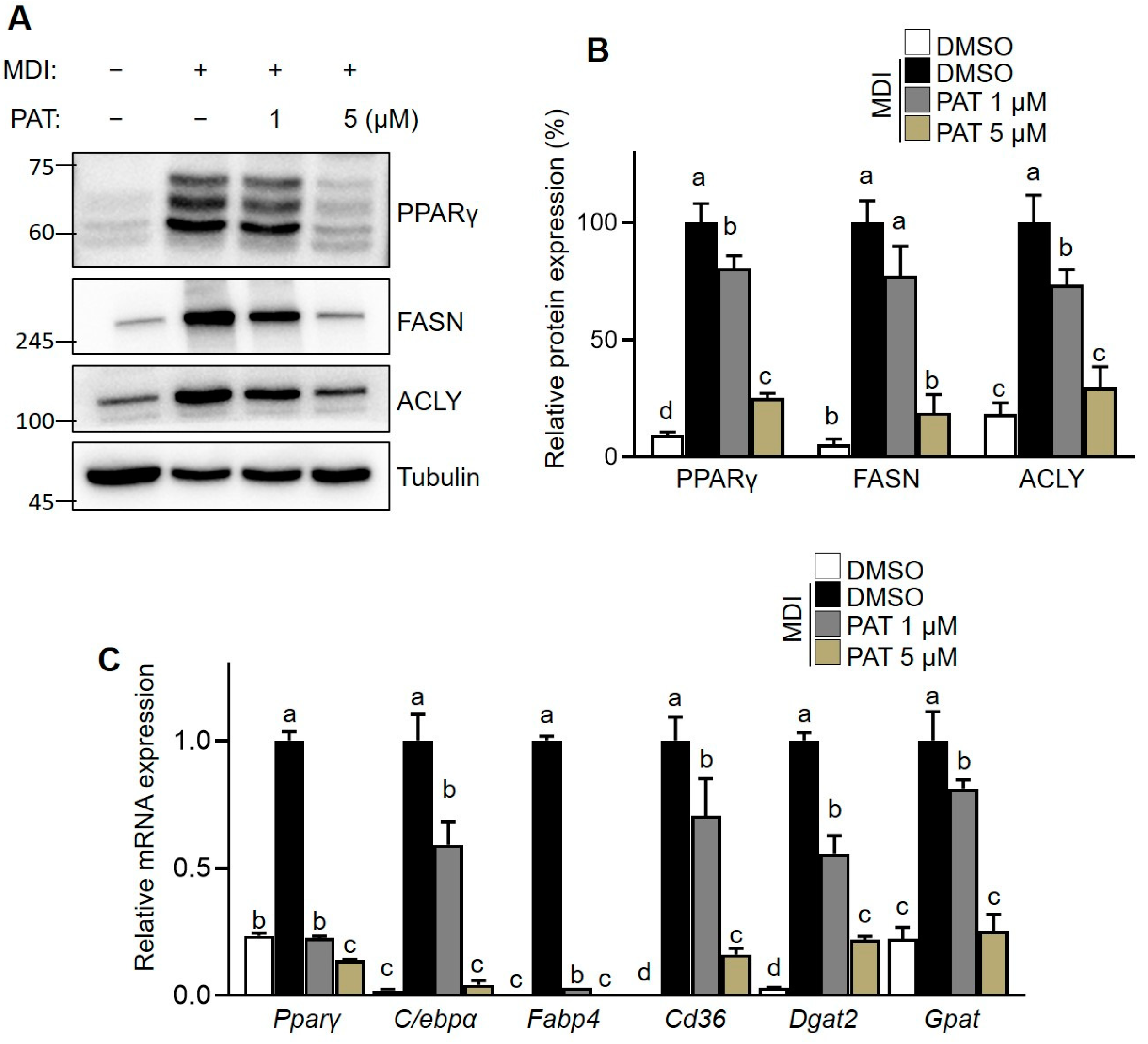 Antioxidants 12 01750 g004