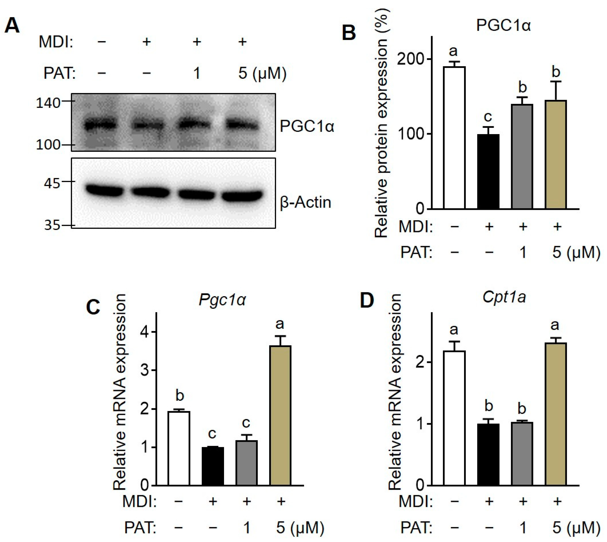 Antioxidants 12 01750 g005