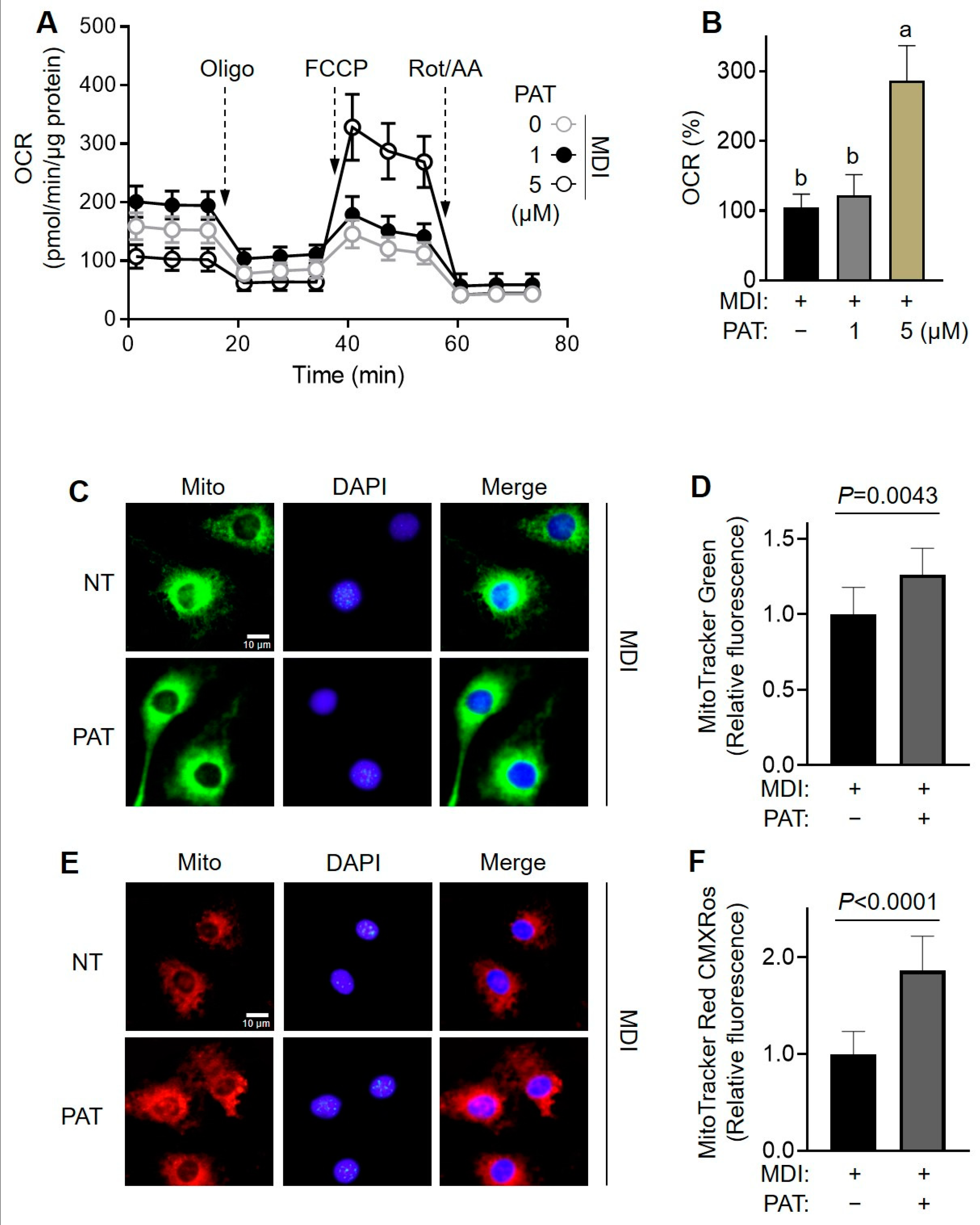 Antioxidants 12 01750 g006