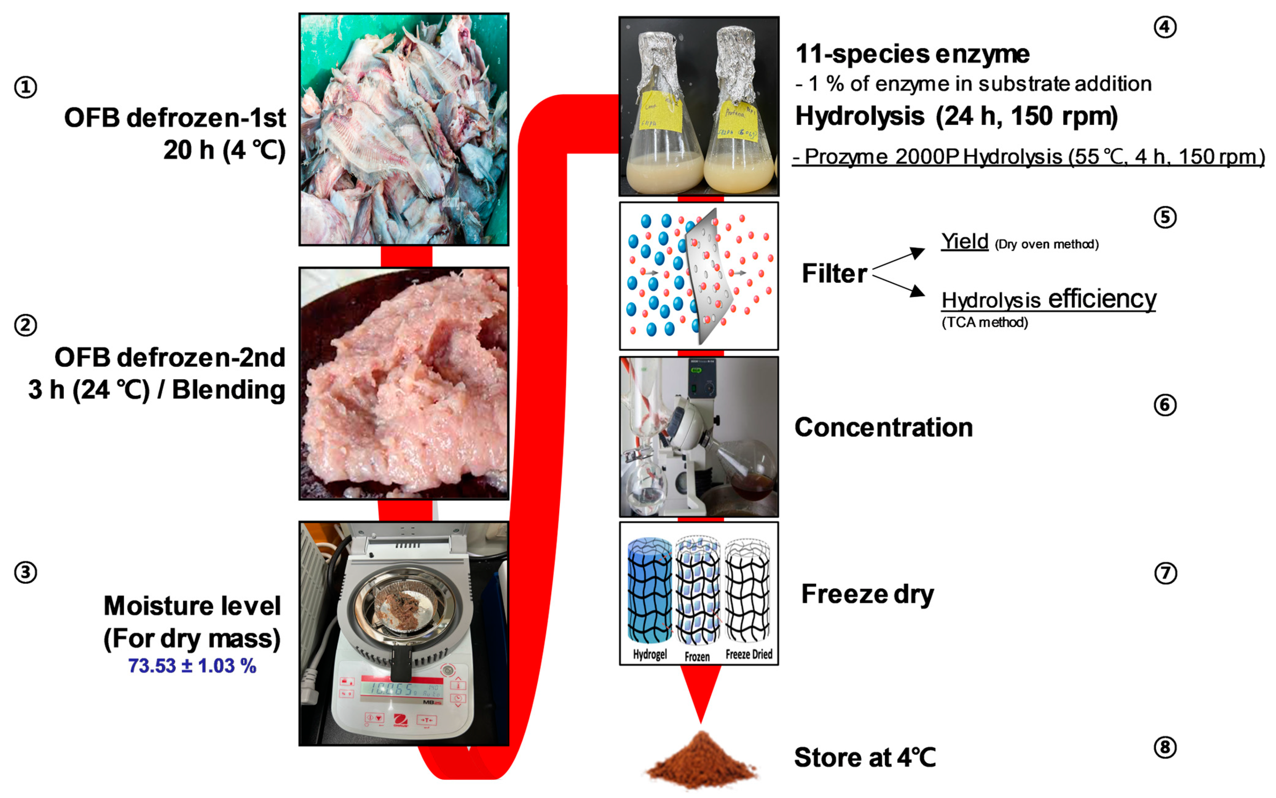Antioxidants 12 01755 g001