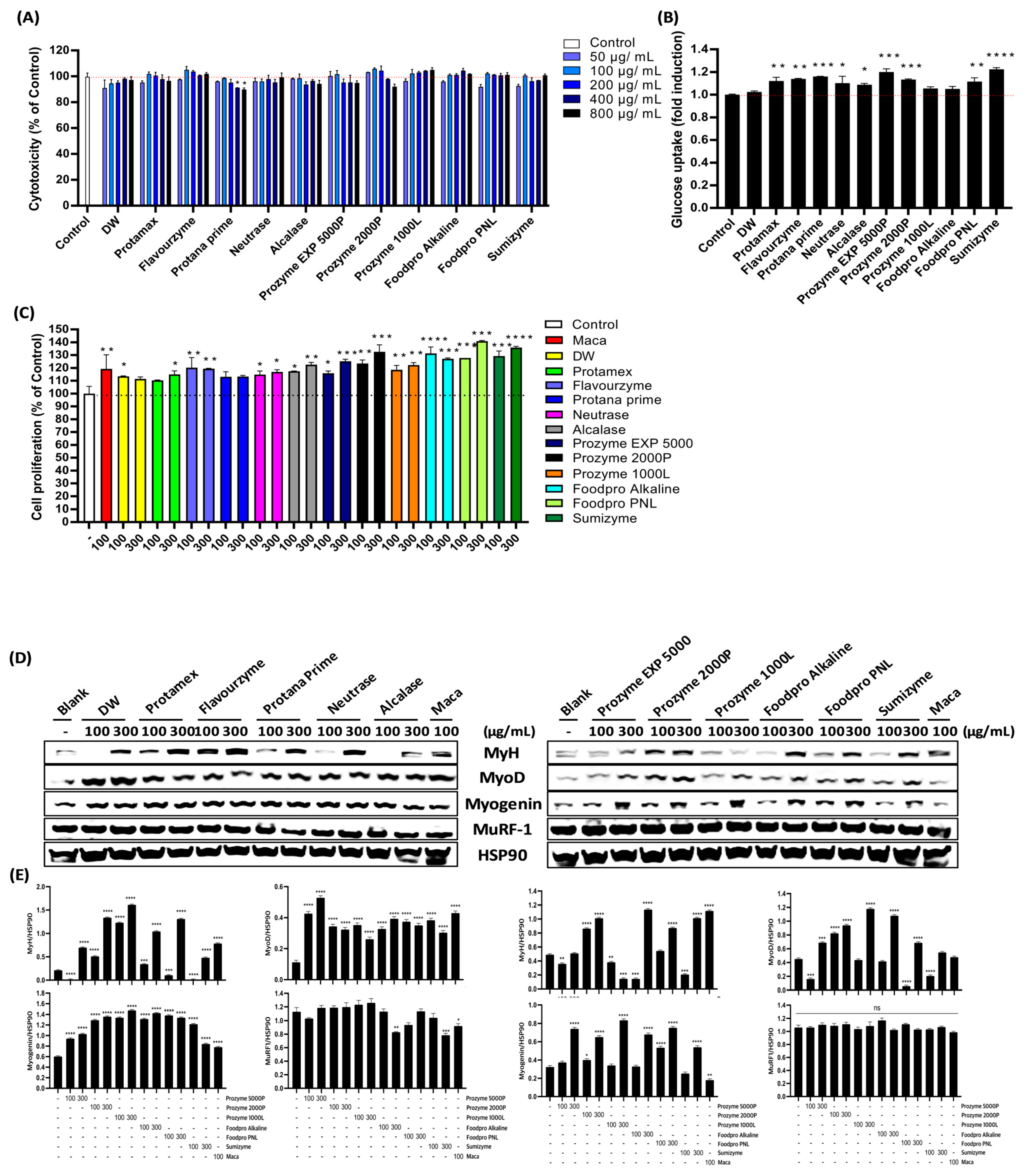Antioxidants 12 01755 g004