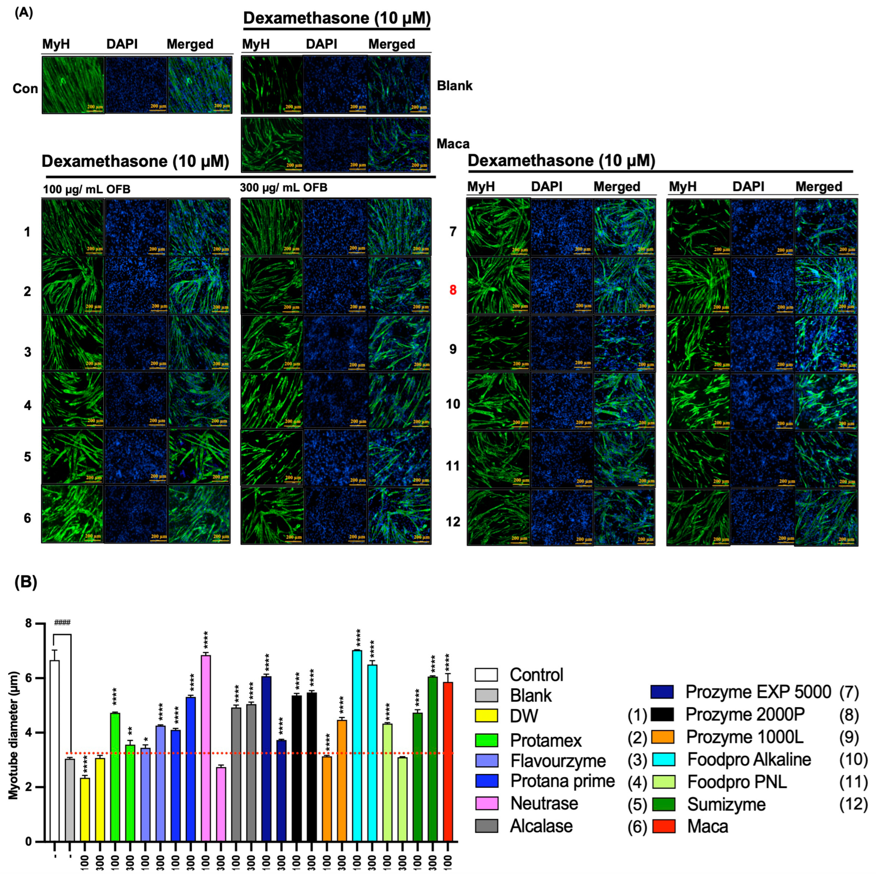 Antioxidants 12 01755 g005