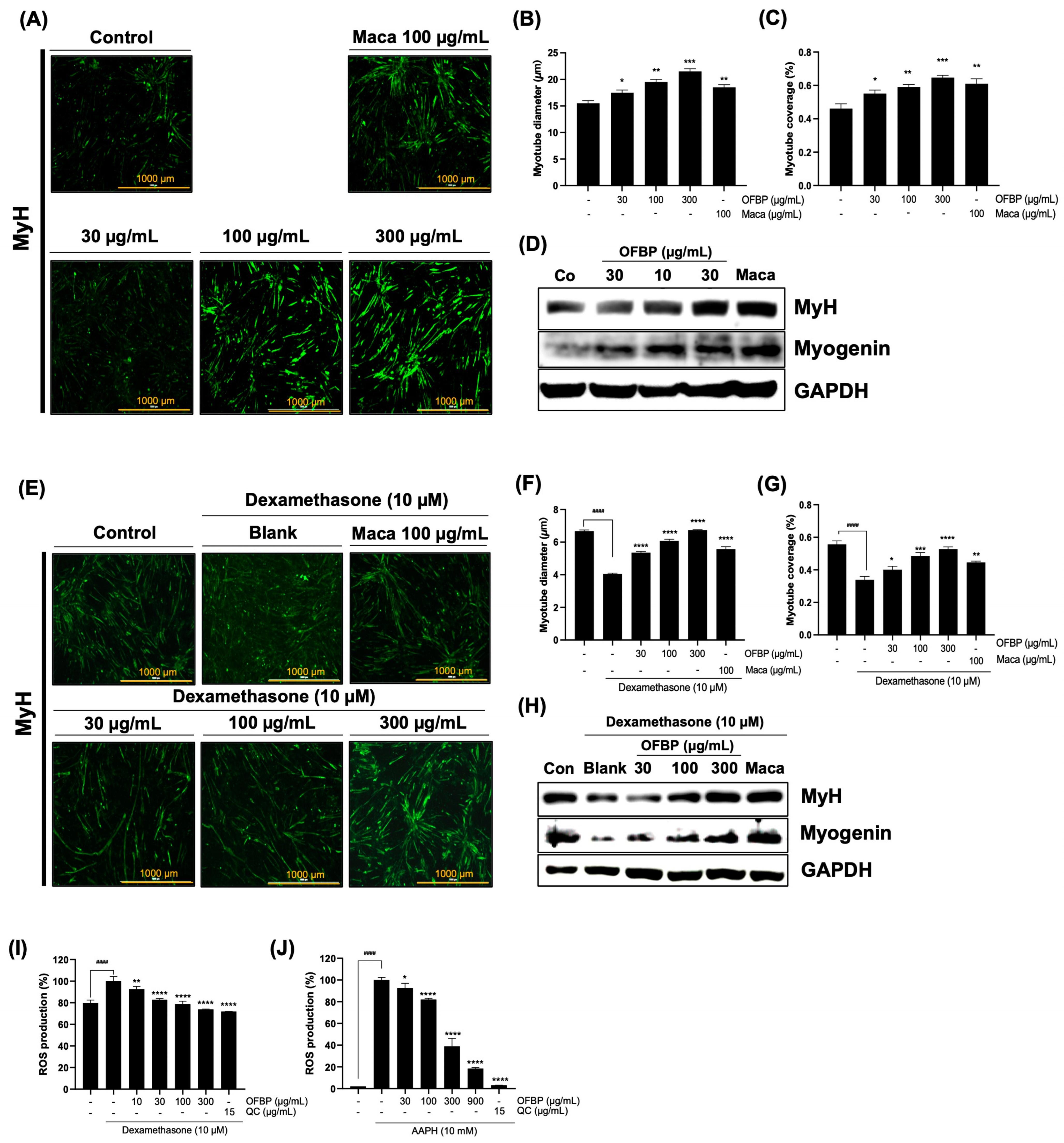 Antioxidants 12 01755 g007