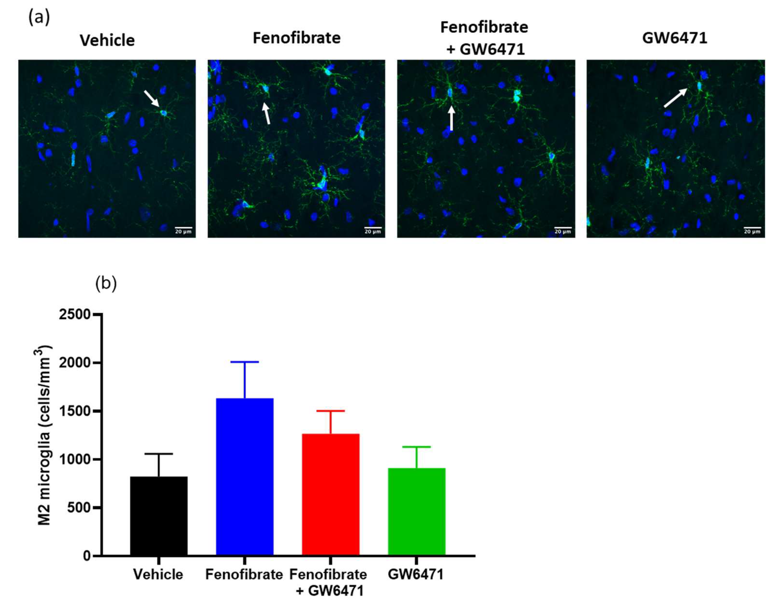 Antioxidants 12 01758 g004