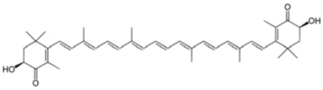 Antioxidants 12 01760 i007 Antioxidants 12 01760 i007