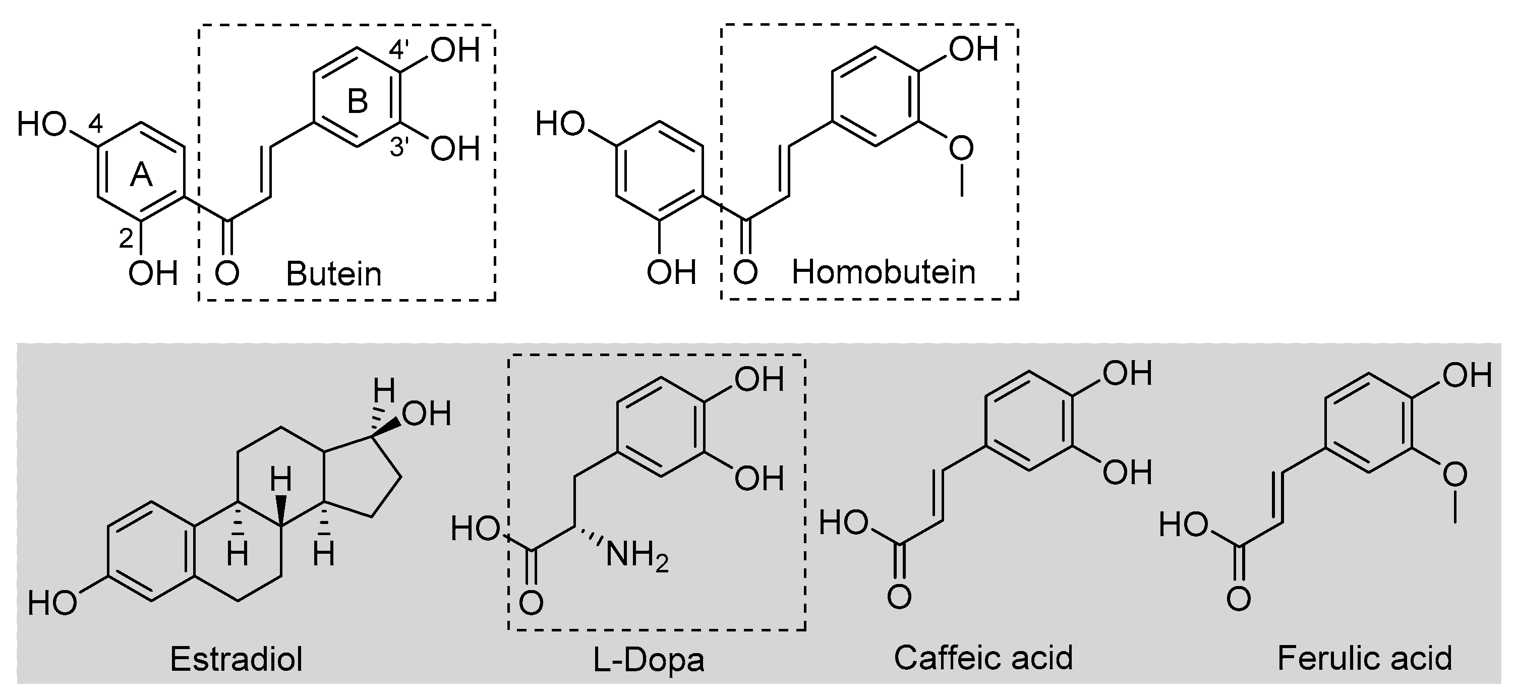 Antioxidants 12 01763 g001