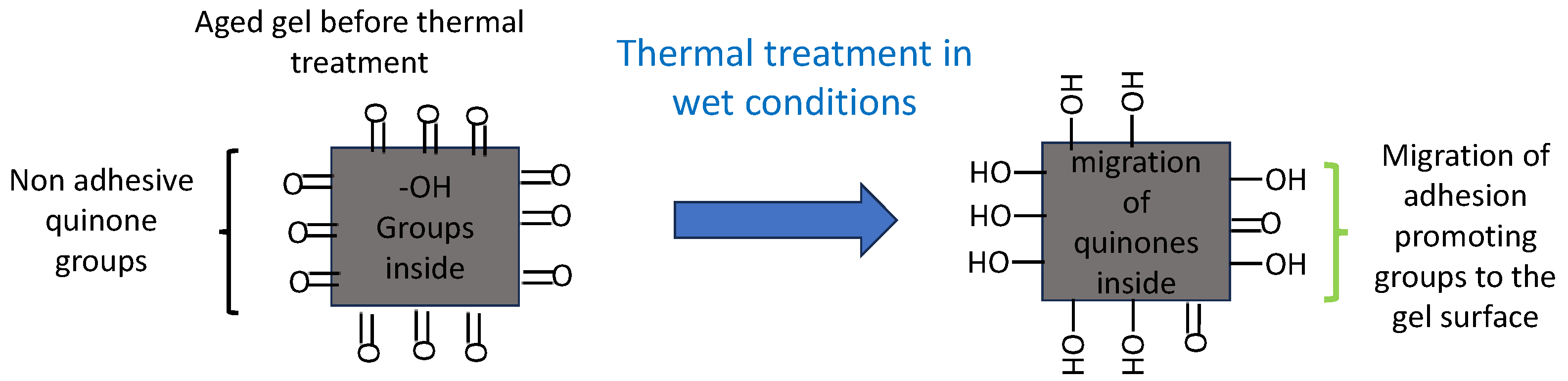 Antioxidants 12 01764 sch002