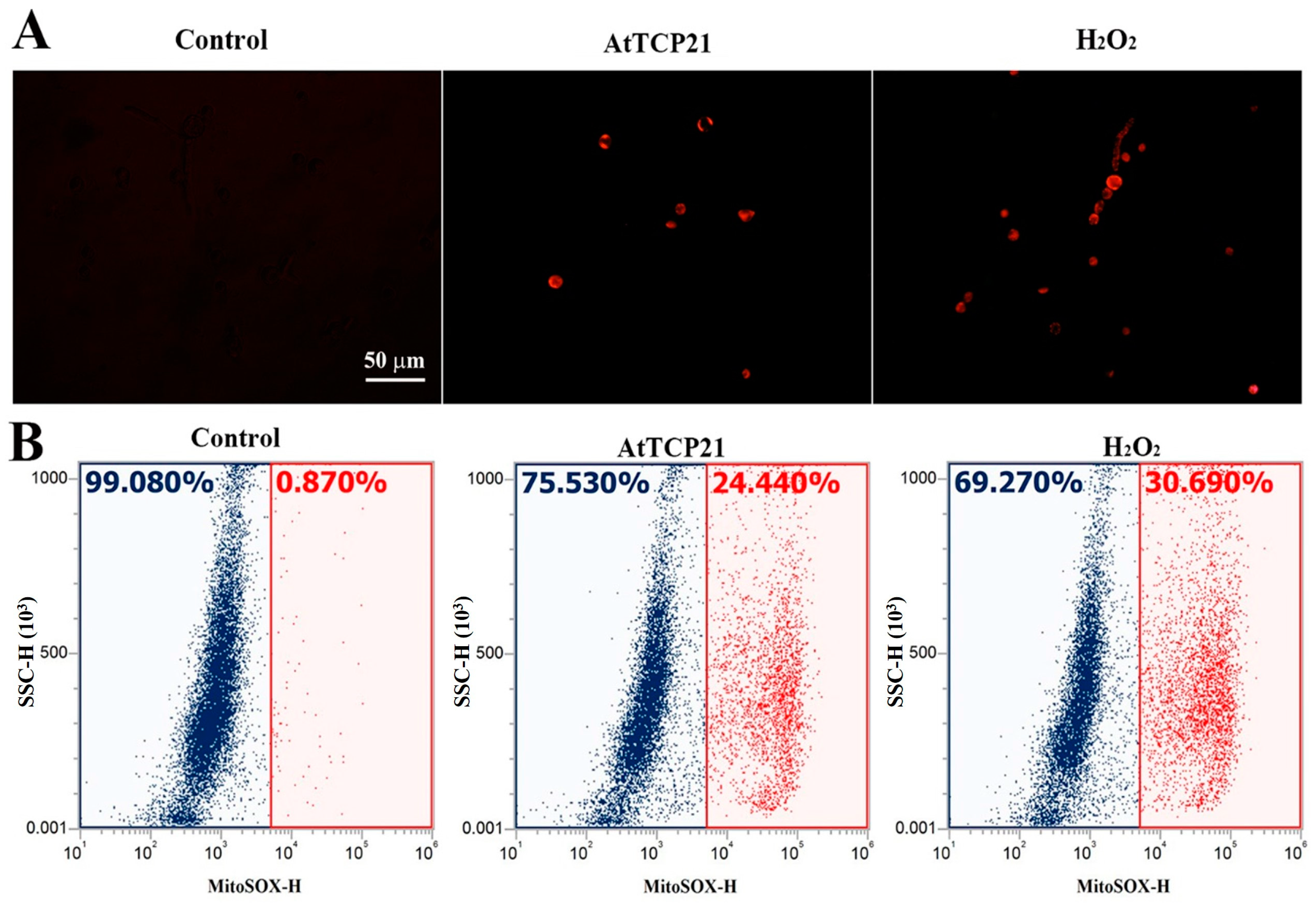 Antioxidants 12 01767 g006