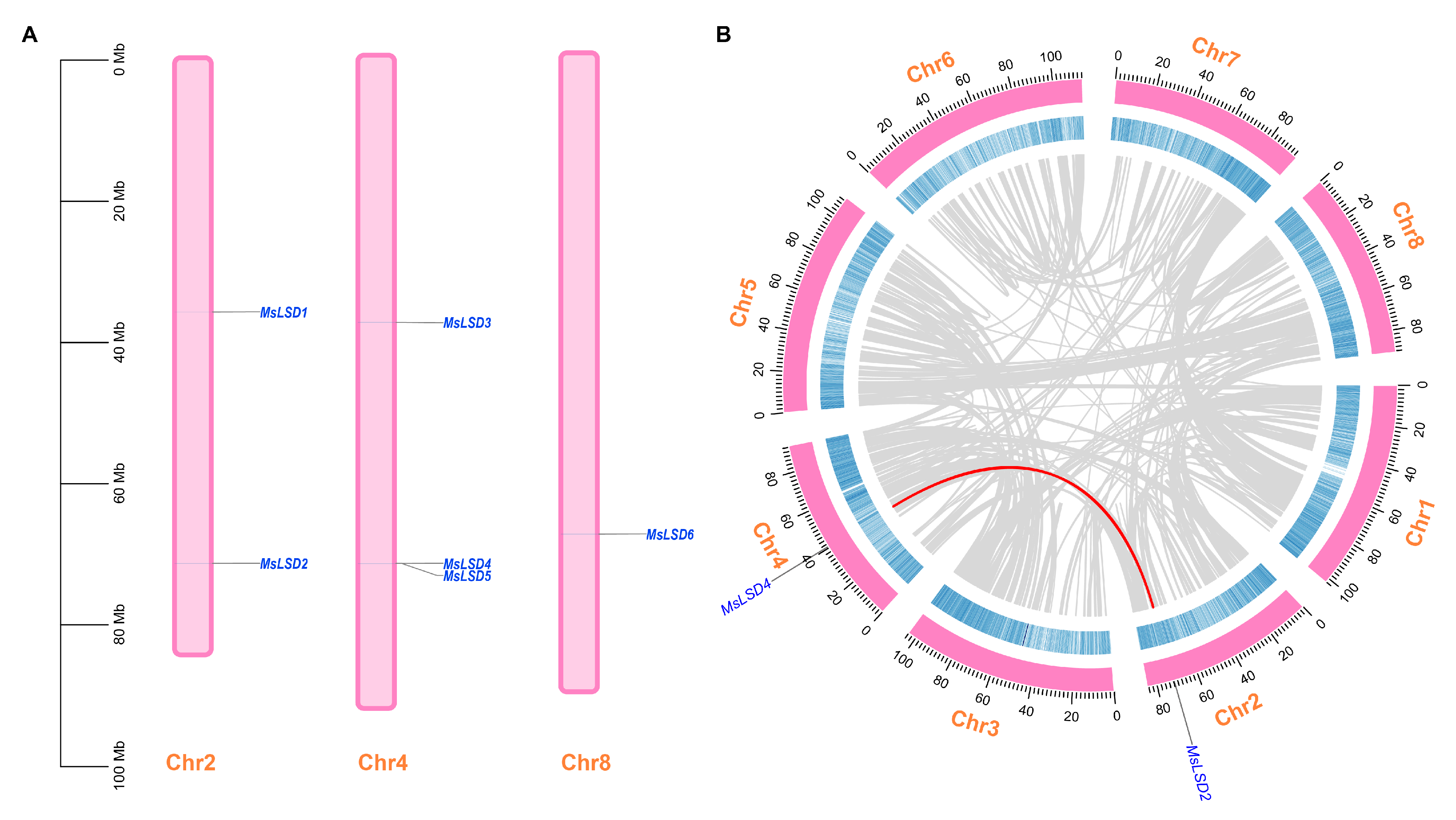 Antioxidants 12 01768 g003