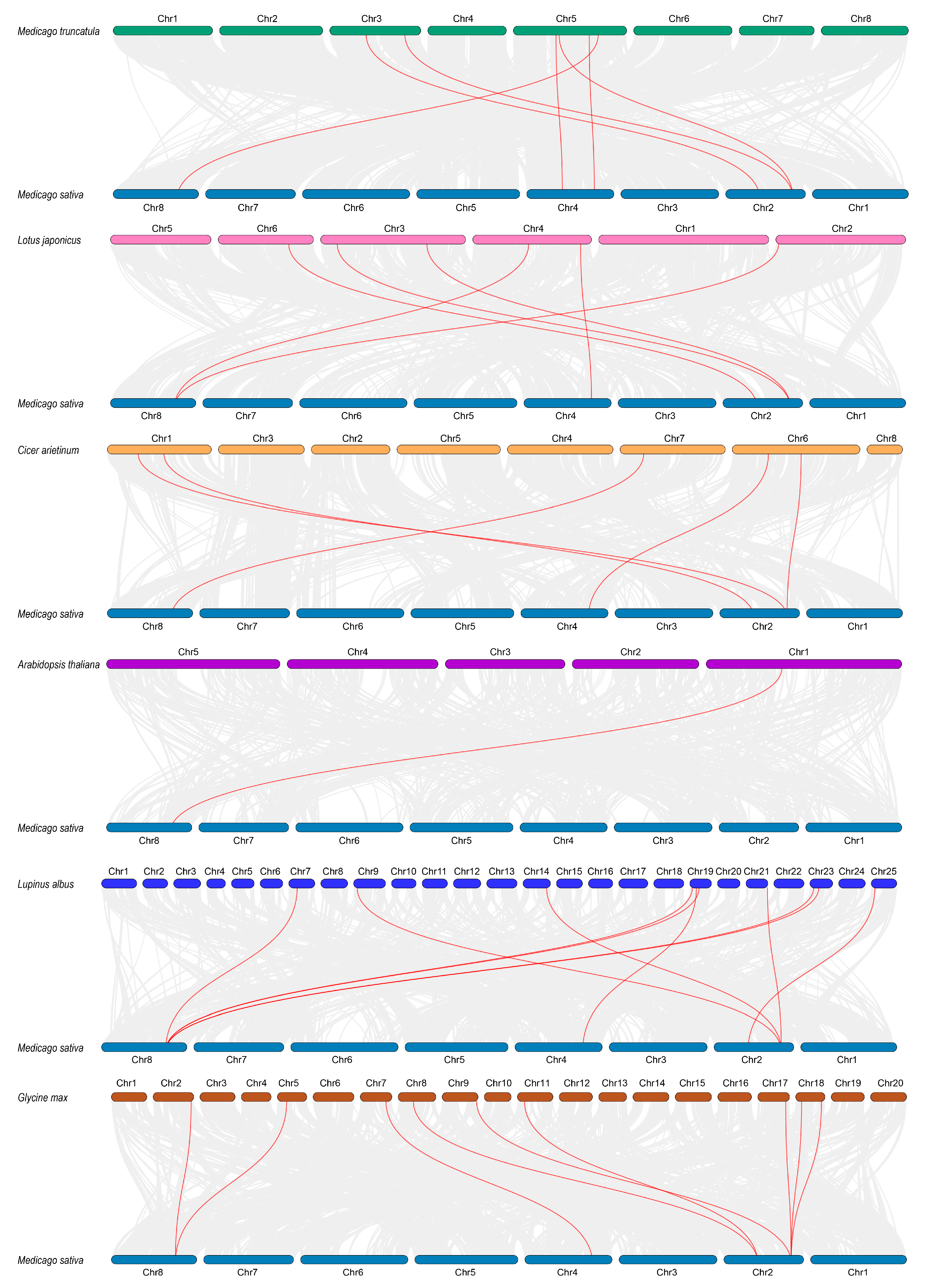 Antioxidants 12 01768 g004