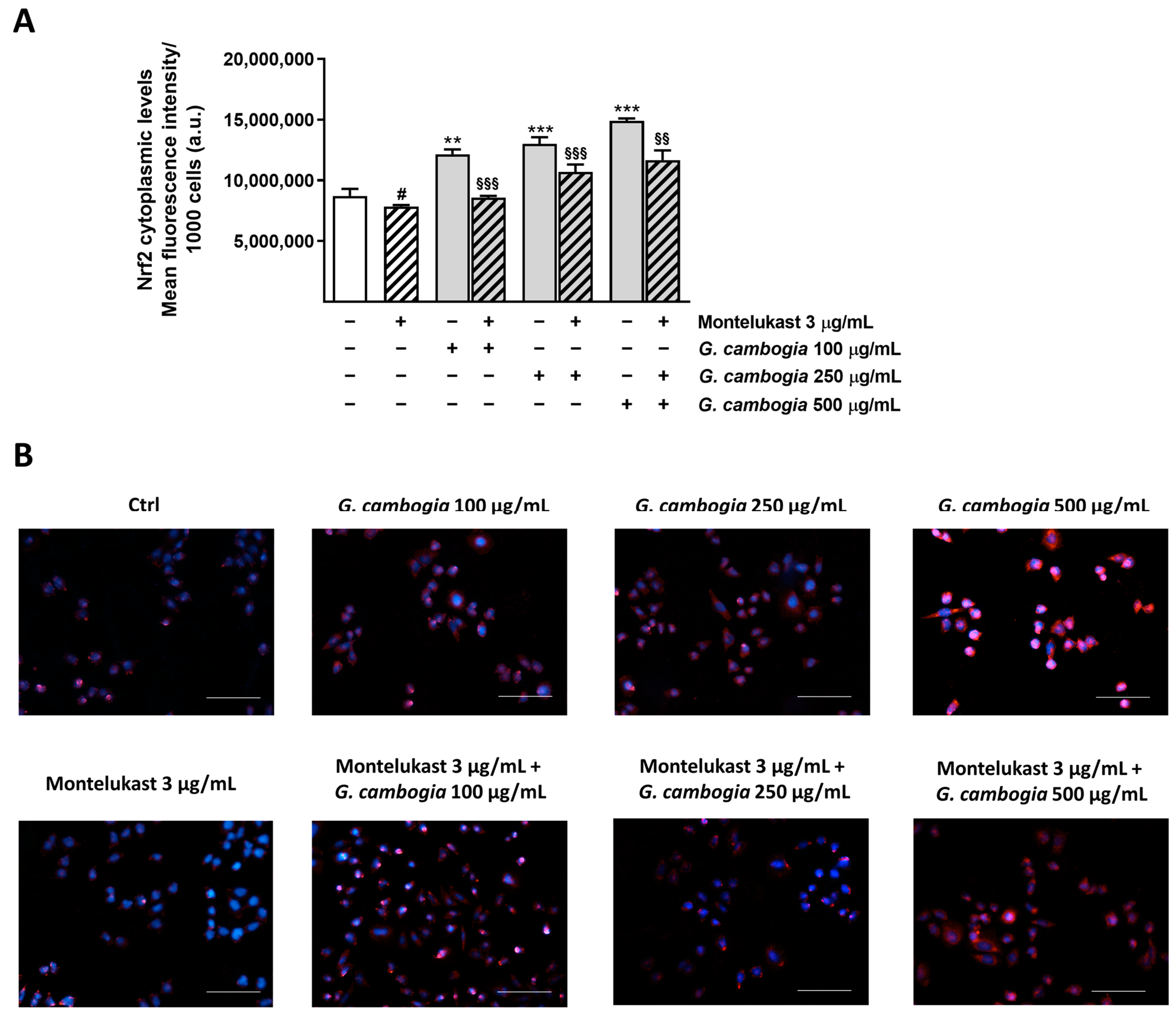 Antioxidants 12 01771 g008