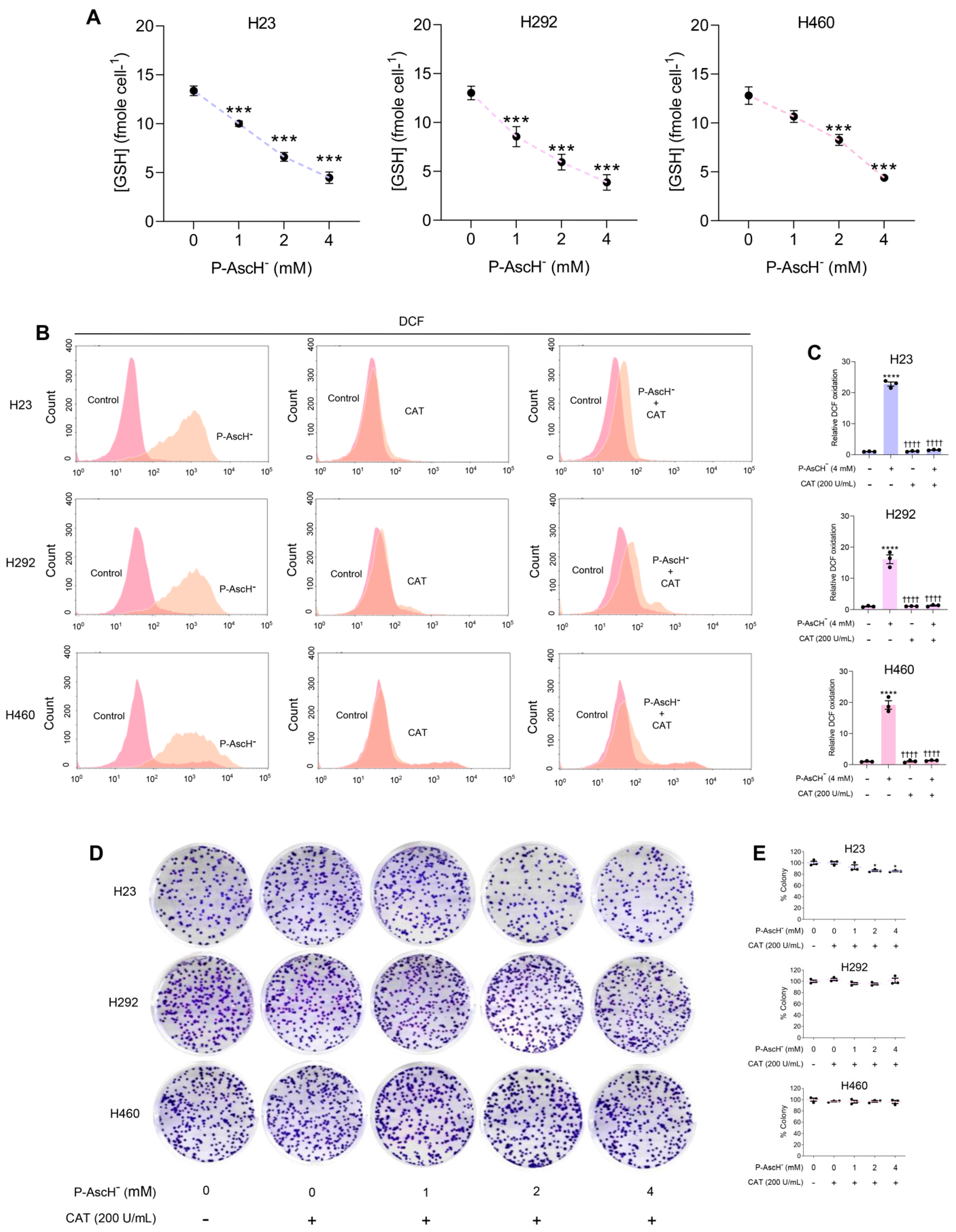 Antioxidants 12 01775 g002