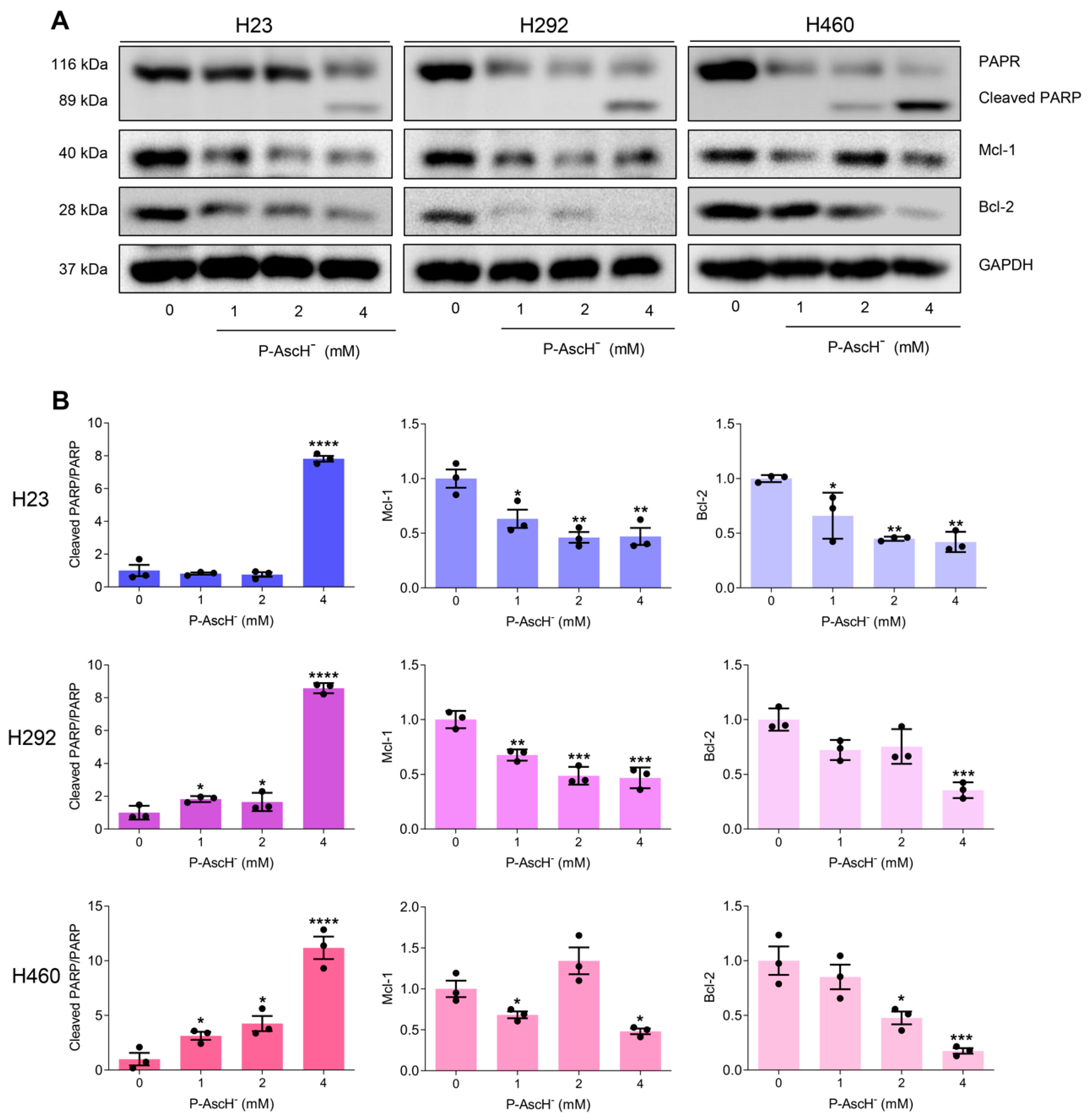 Antioxidants 12 01775 g008