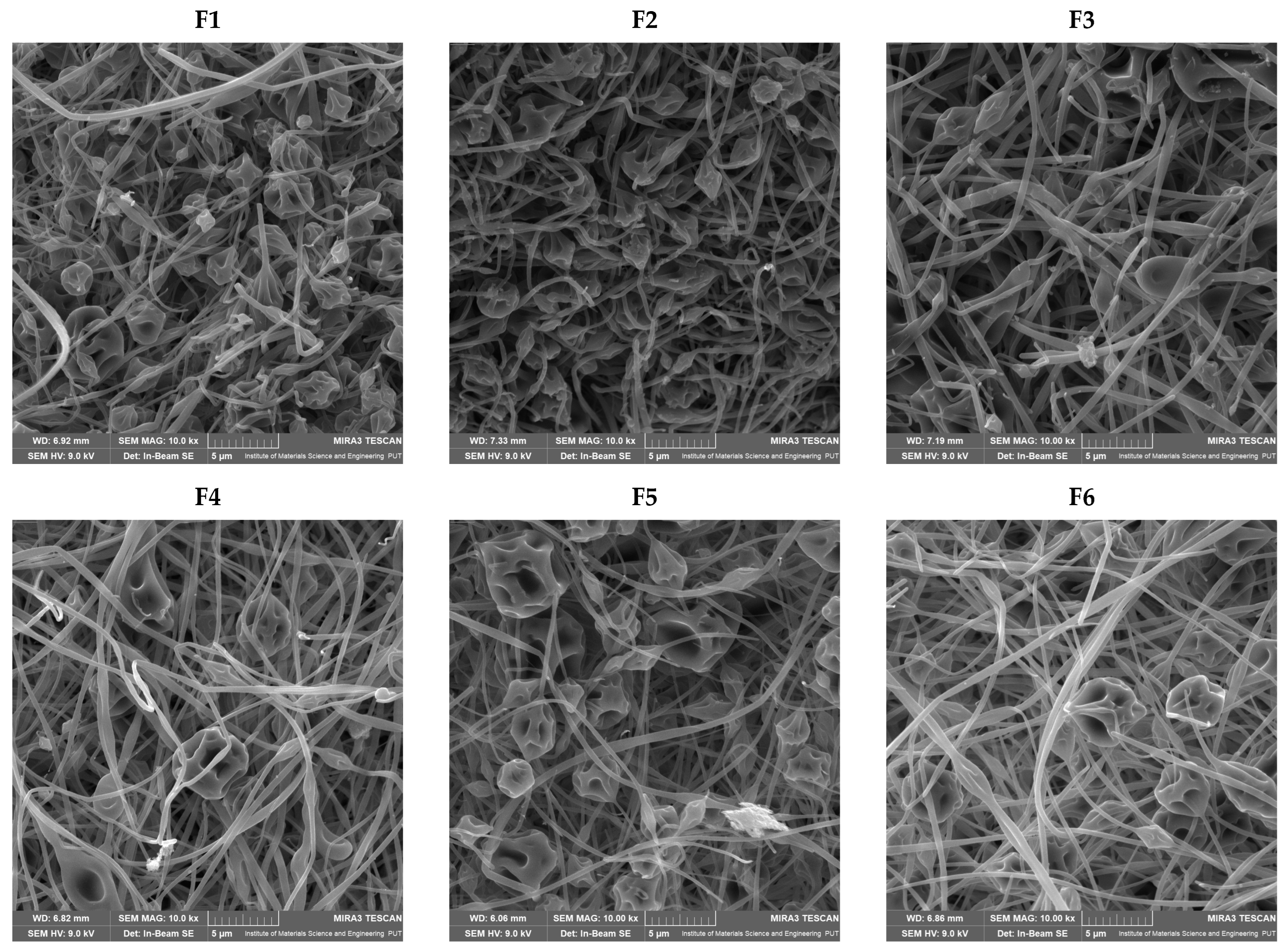 Antioxidants 12 01777 g003a