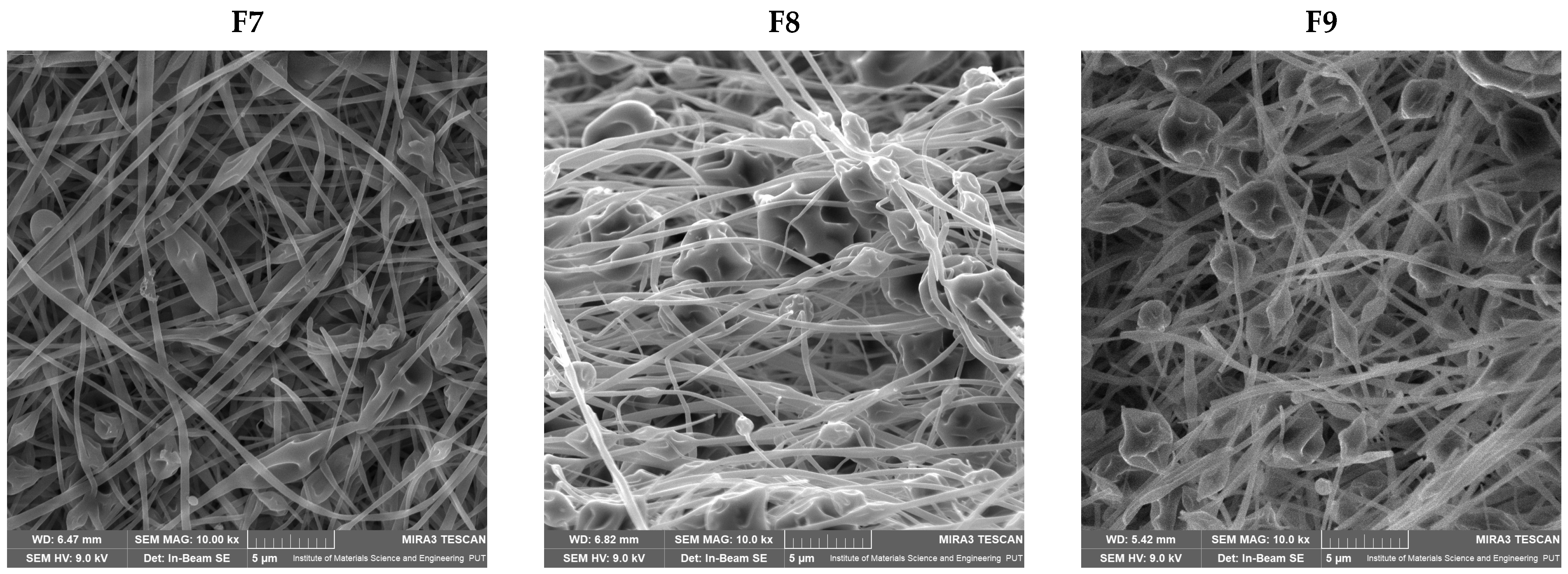 Antioxidants 12 01777 g003b