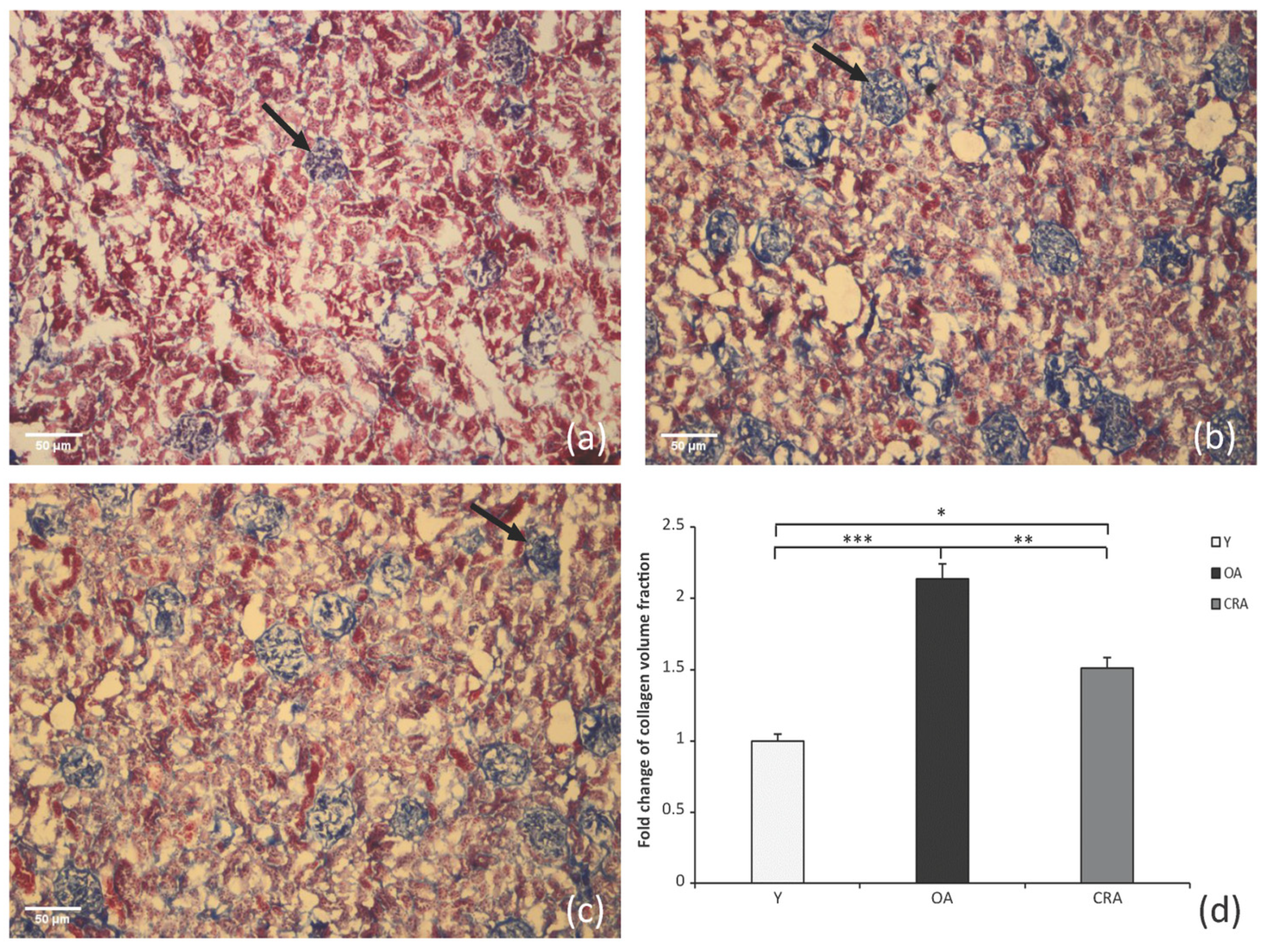 Antioxidants 12 01778 g001
