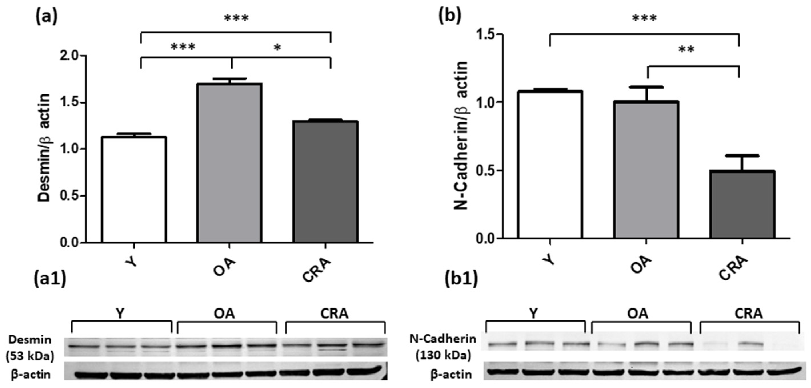 Antioxidants 12 01778 g003