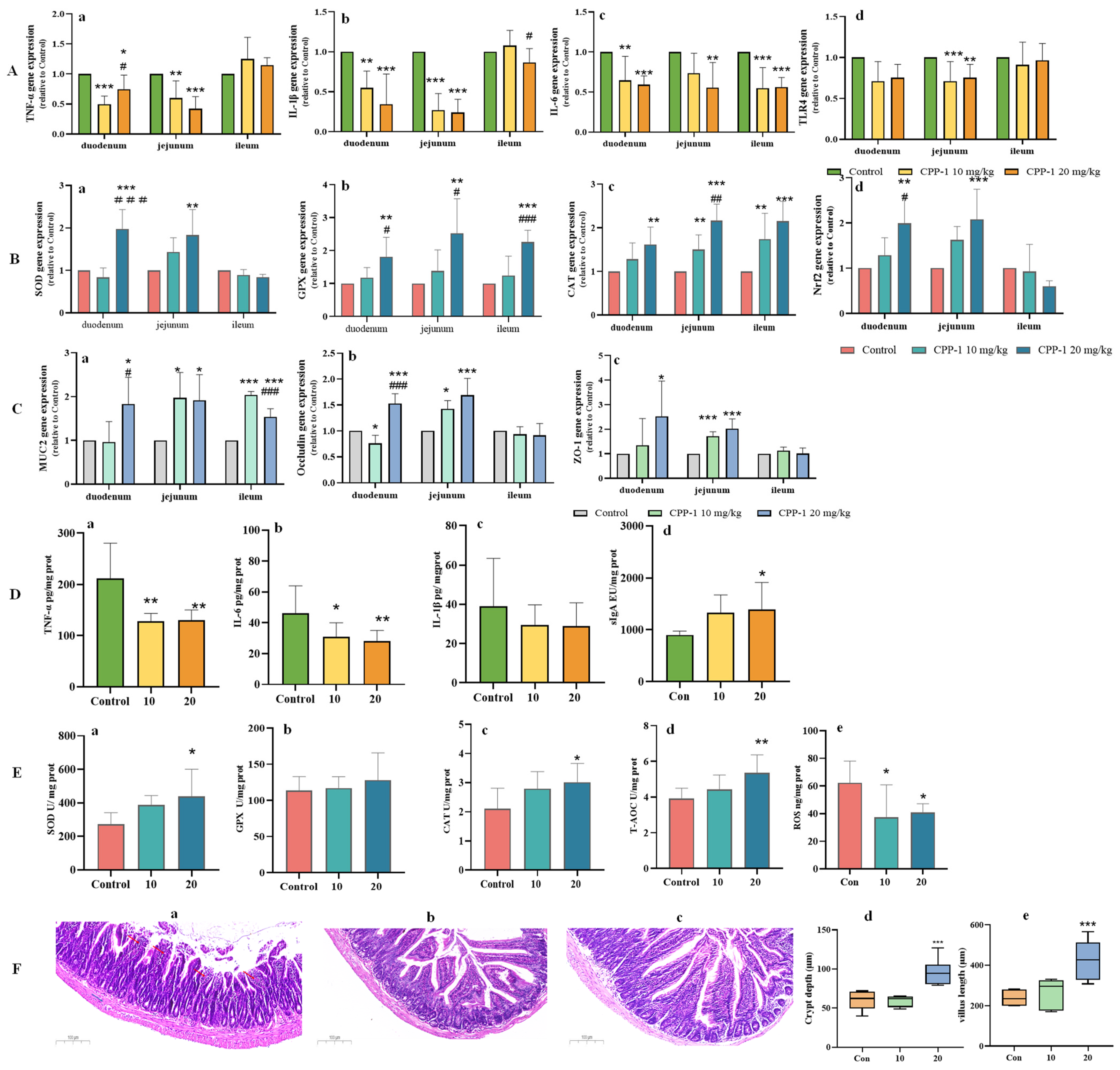 Antioxidants 12 01781 g003