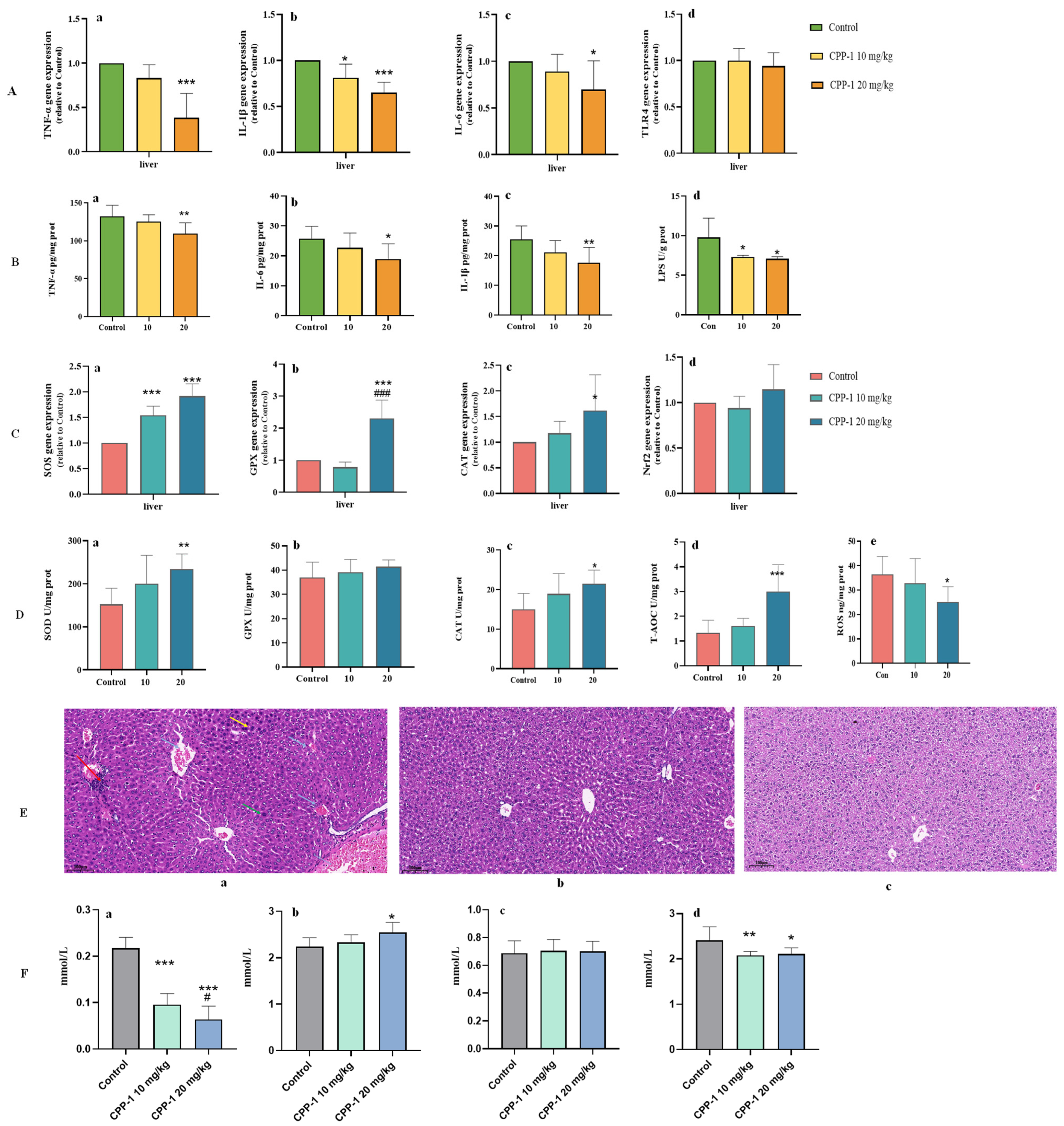 Antioxidants 12 01781 g006
