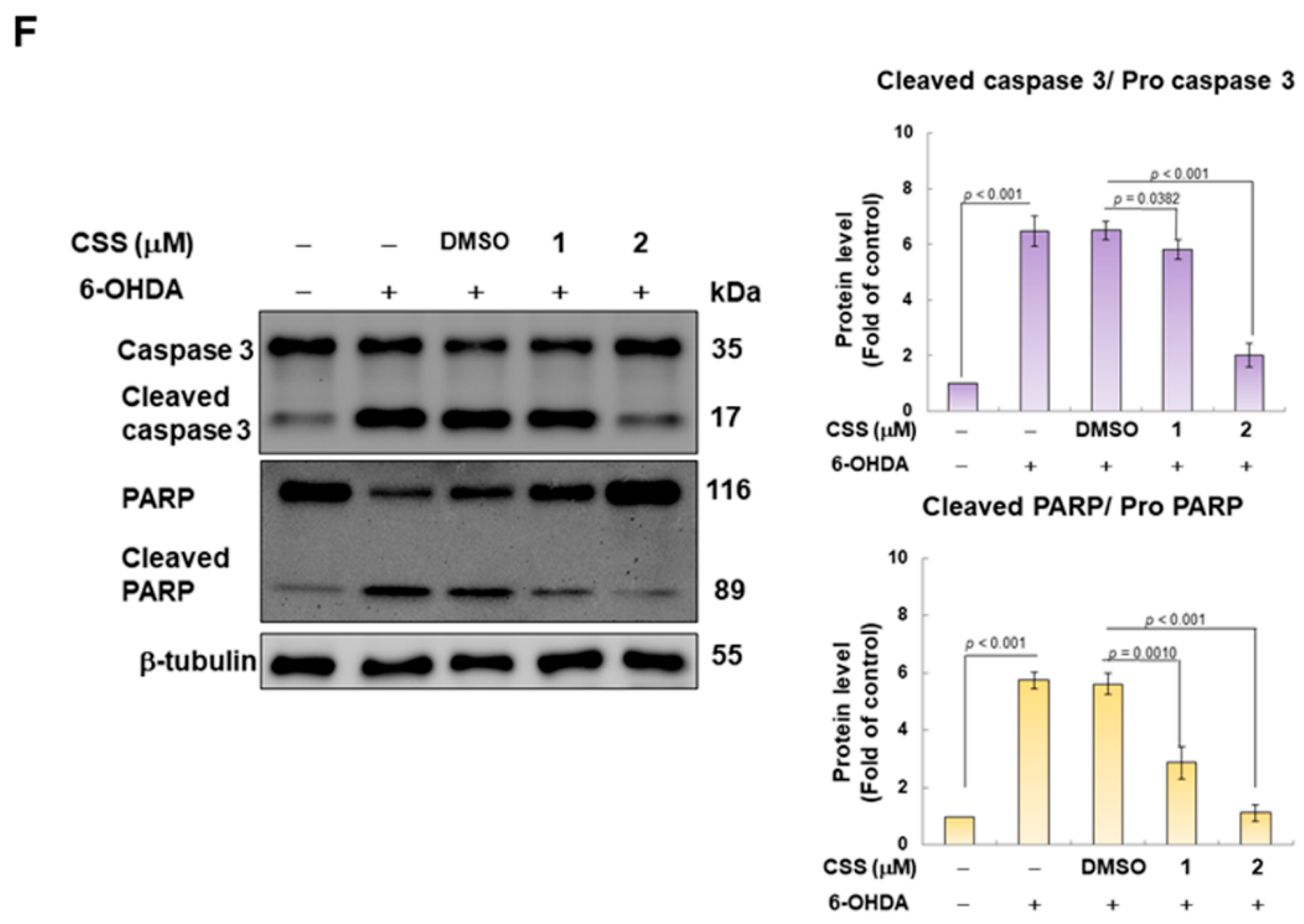 Antioxidants 12 01782 g002b