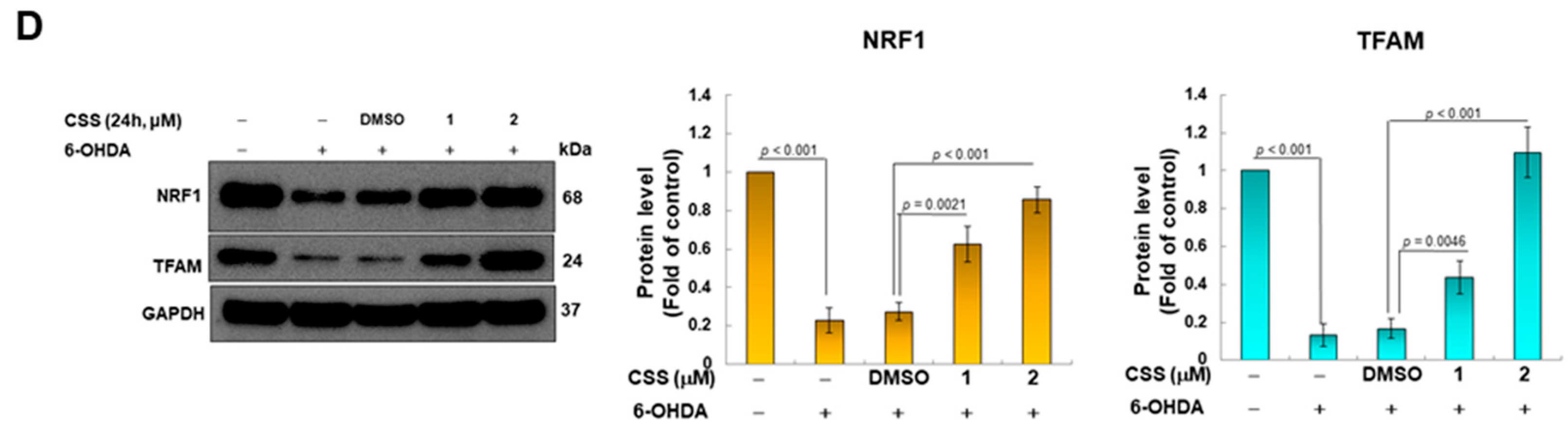 Antioxidants 12 01782 g003b