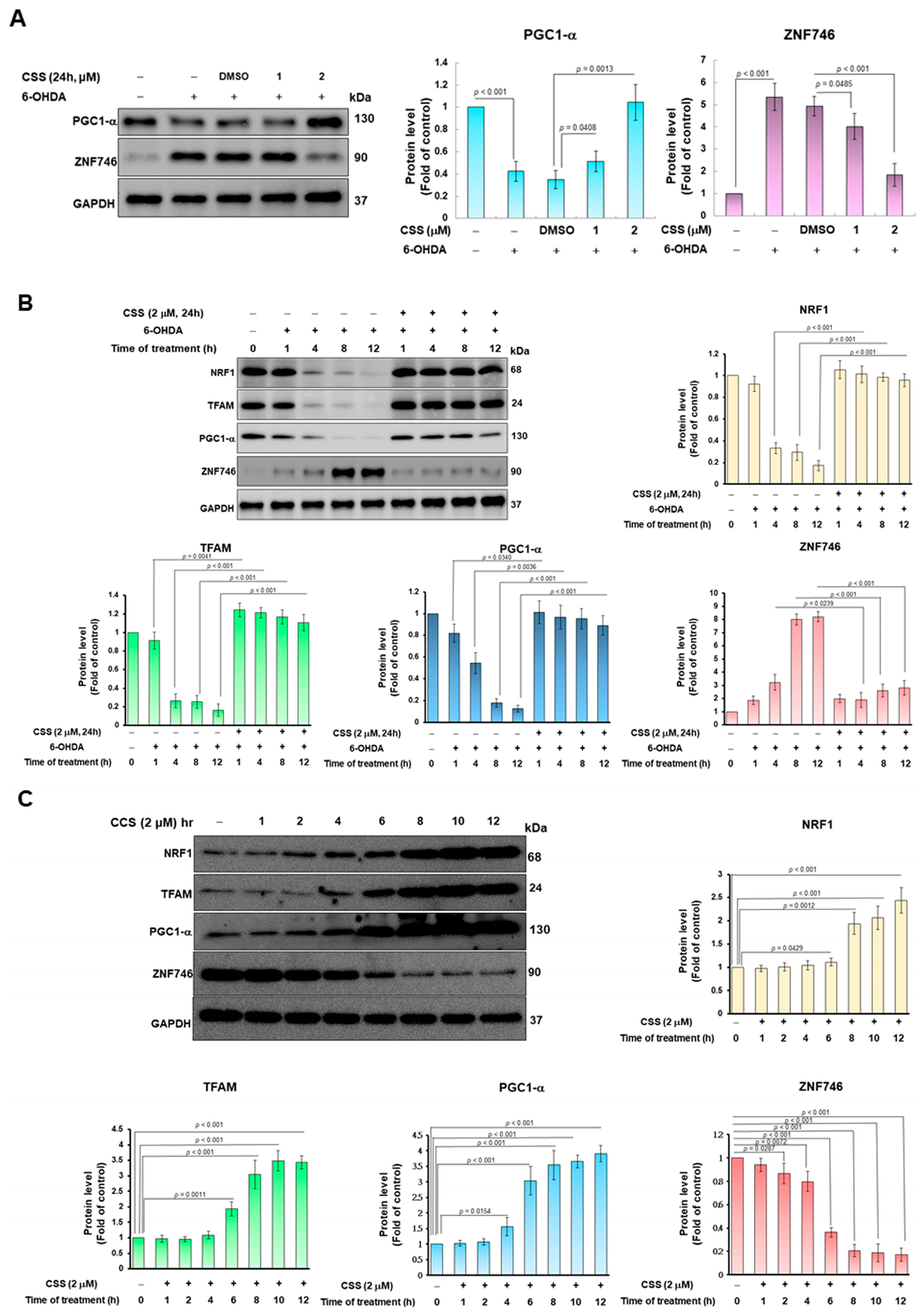 Antioxidants 12 01782 g004