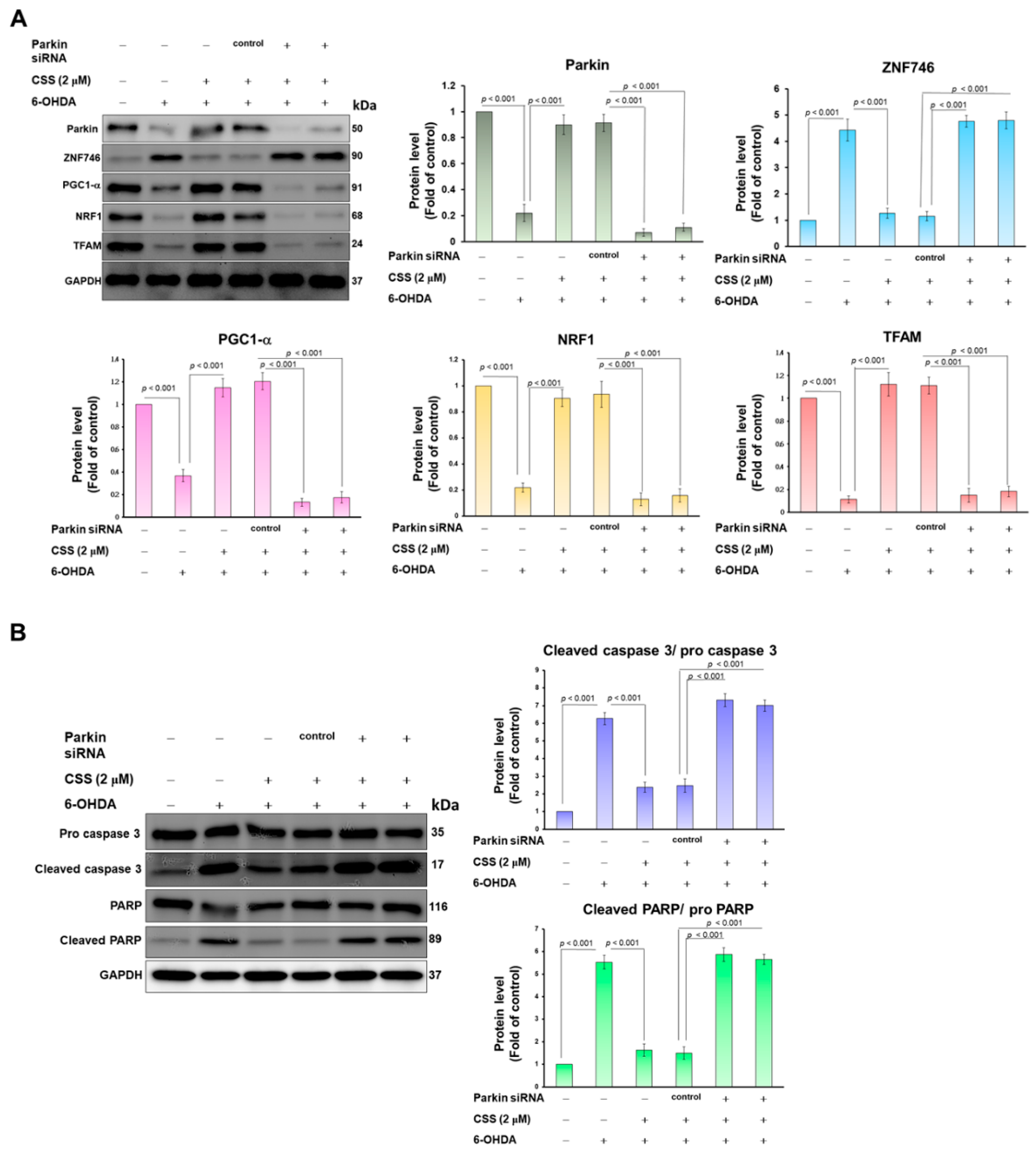 Antioxidants 12 01782 g006