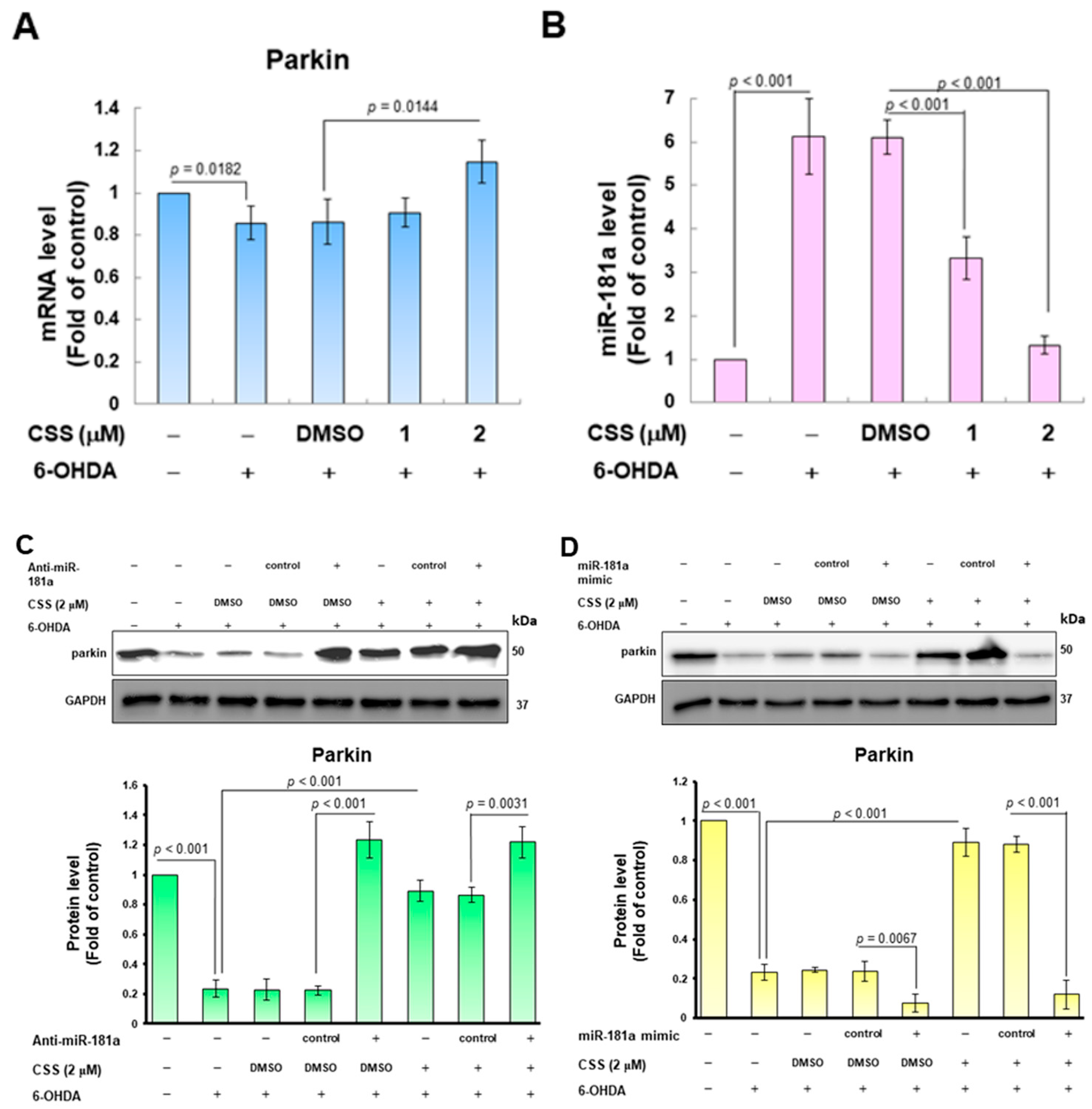 Antioxidants 12 01782 g007