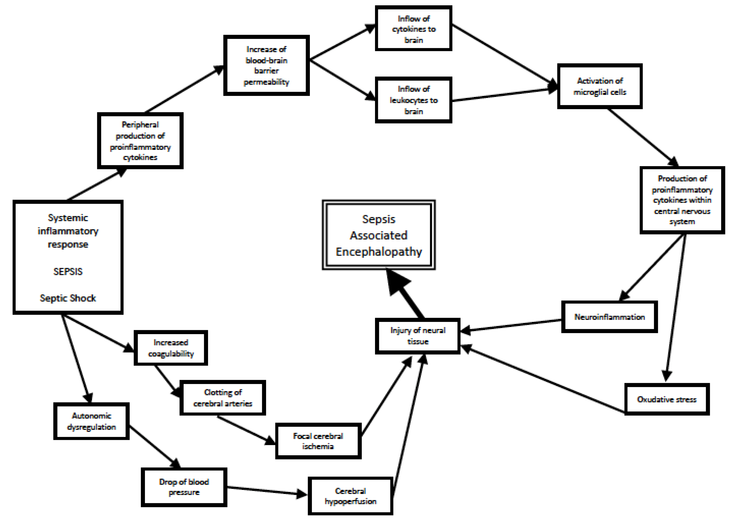 Antioxidants 12 01786 g001