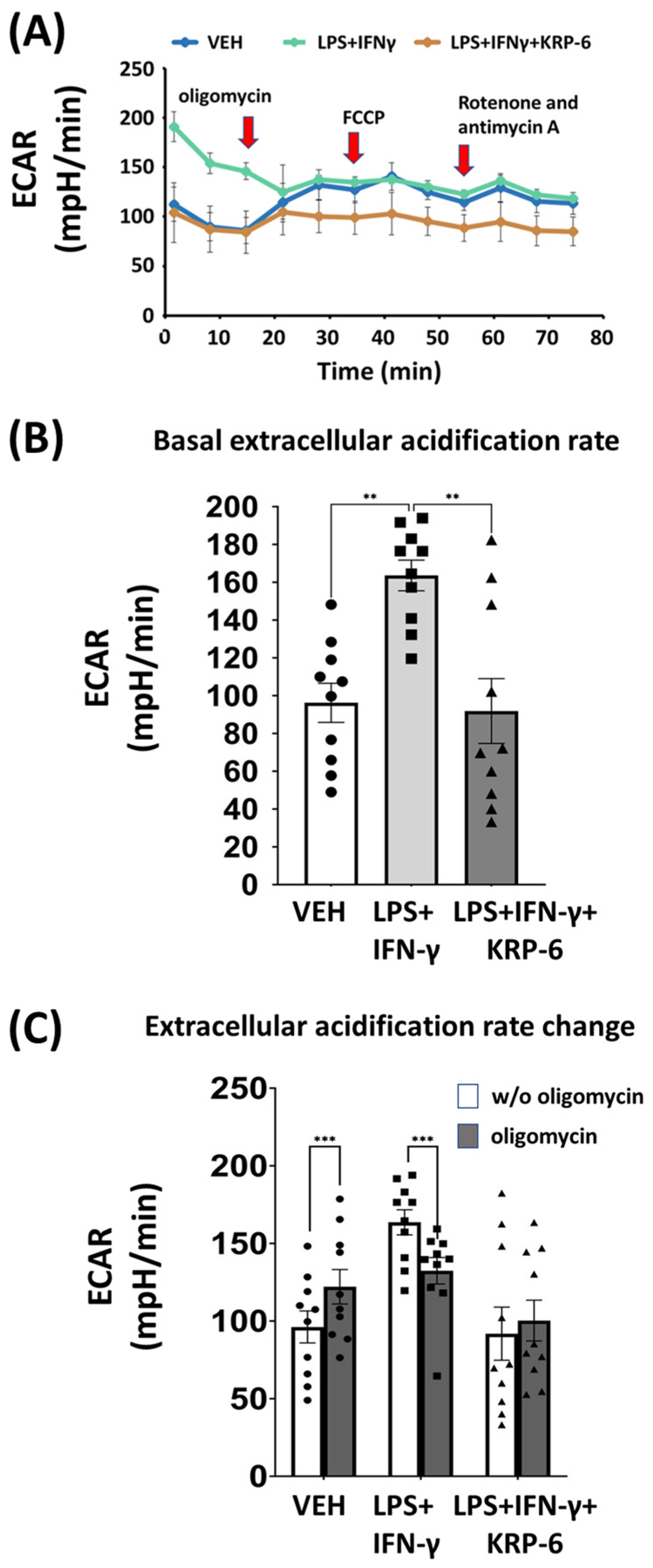 Antioxidants 12 01790 g006