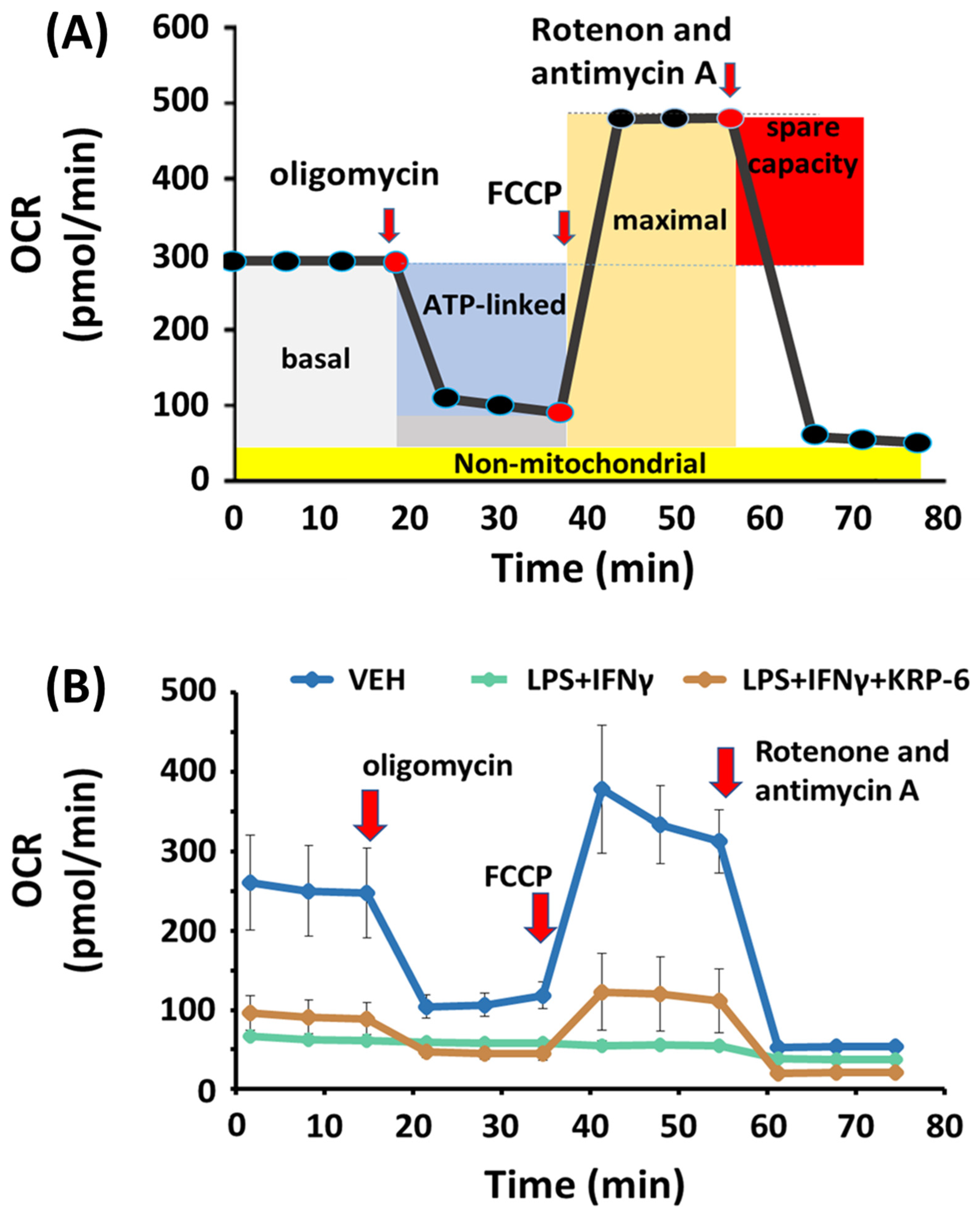 Antioxidants 12 01790 g007