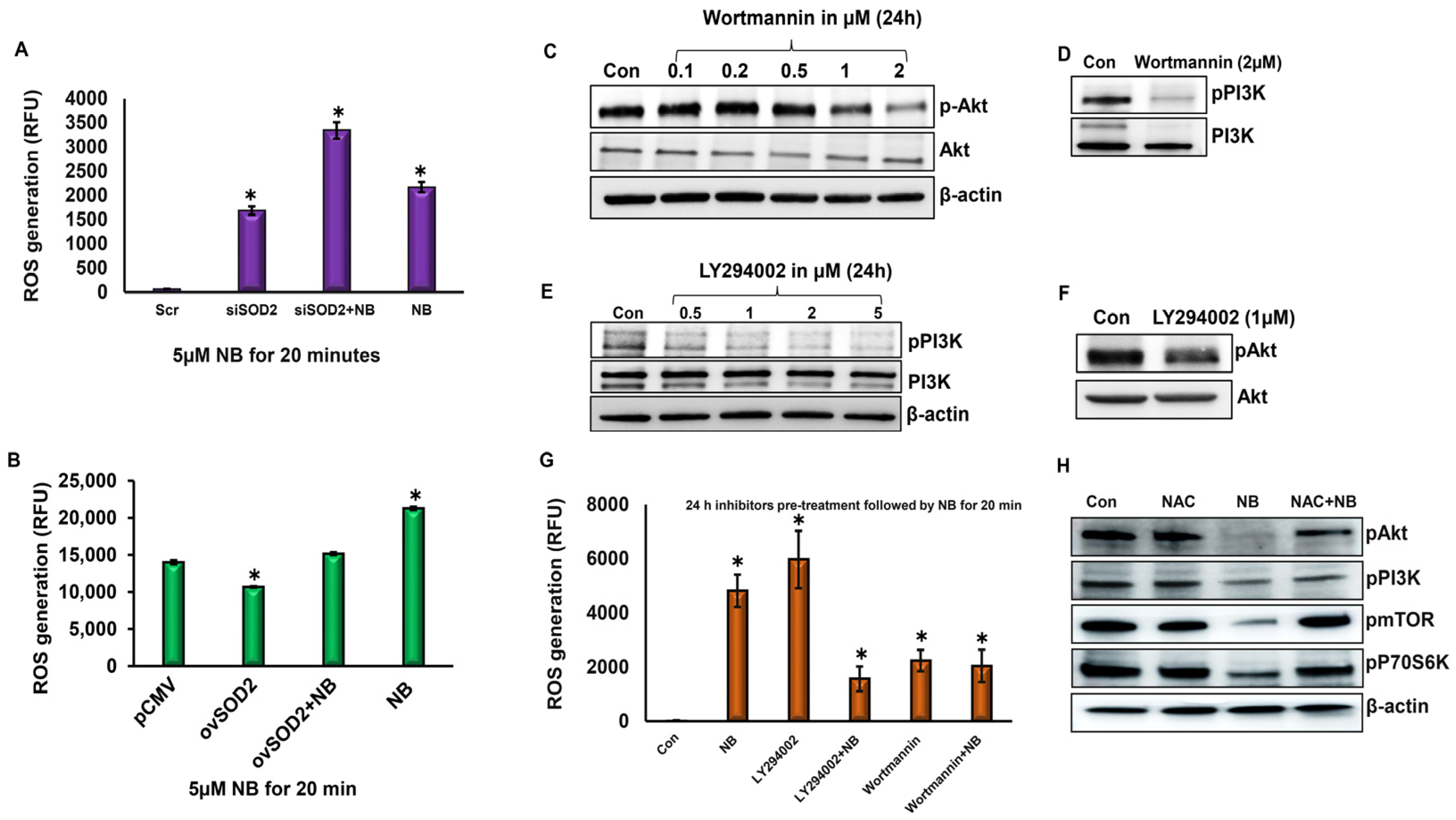 Antioxidants 12 01791 g003
