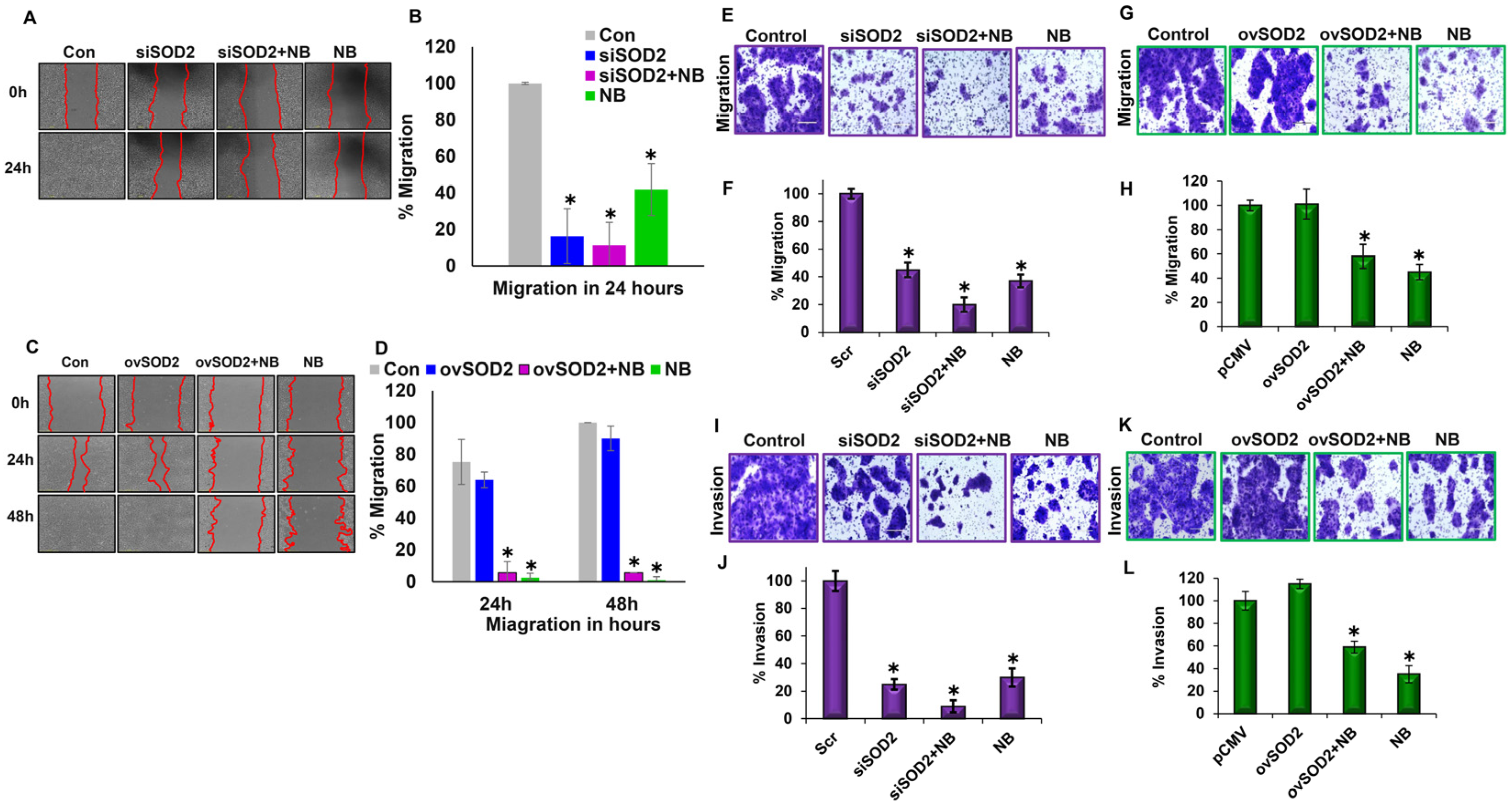 Antioxidants 12 01791 g004