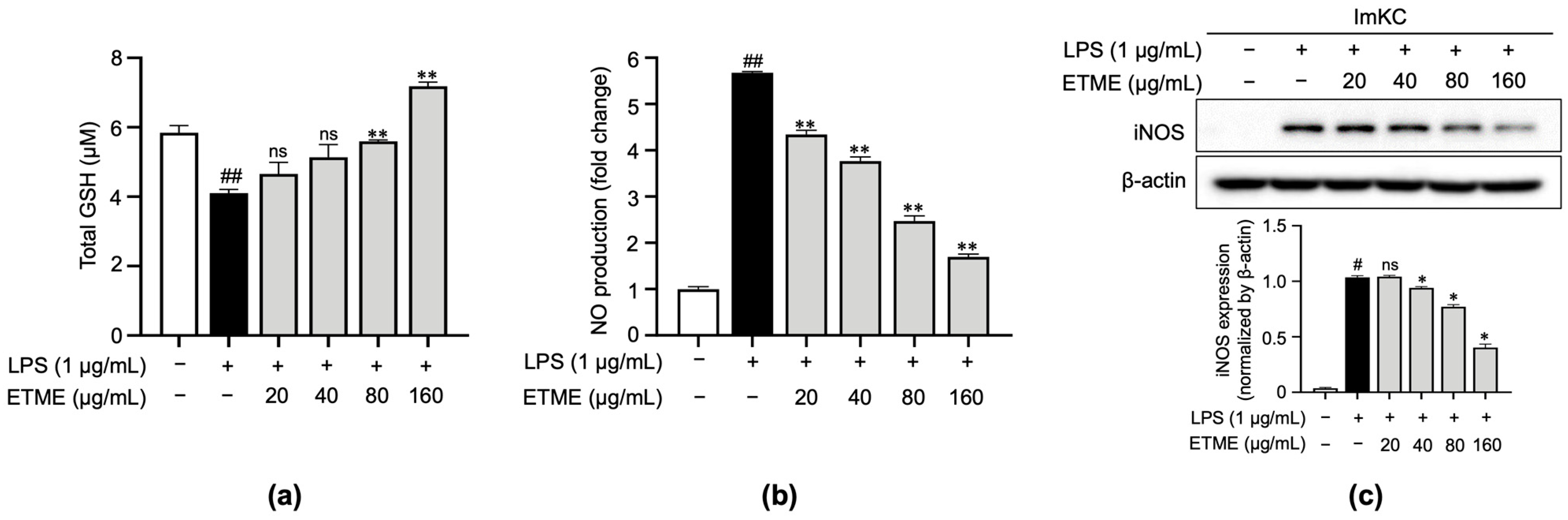 Antioxidants 12 01792 g003