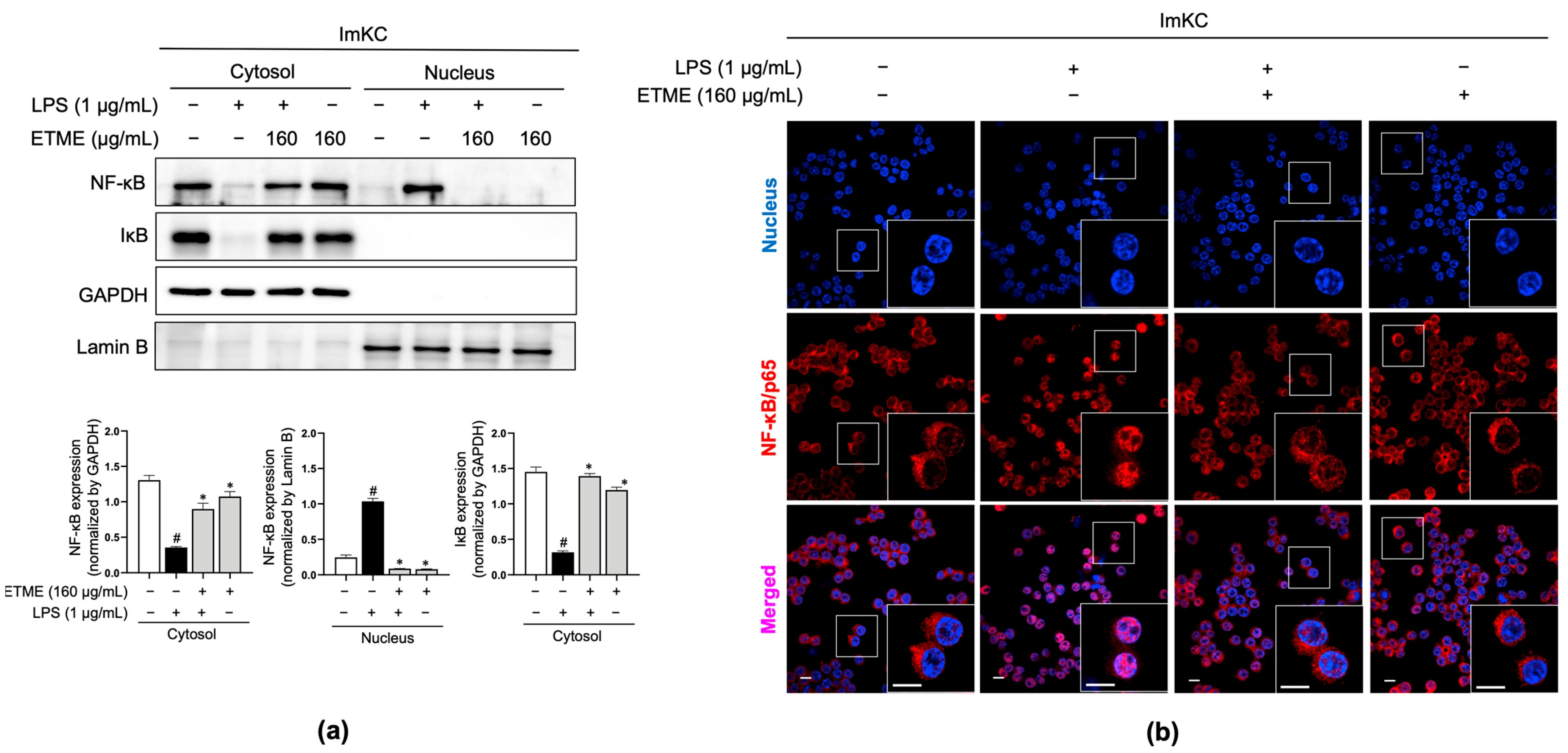 Antioxidants 12 01792 g007