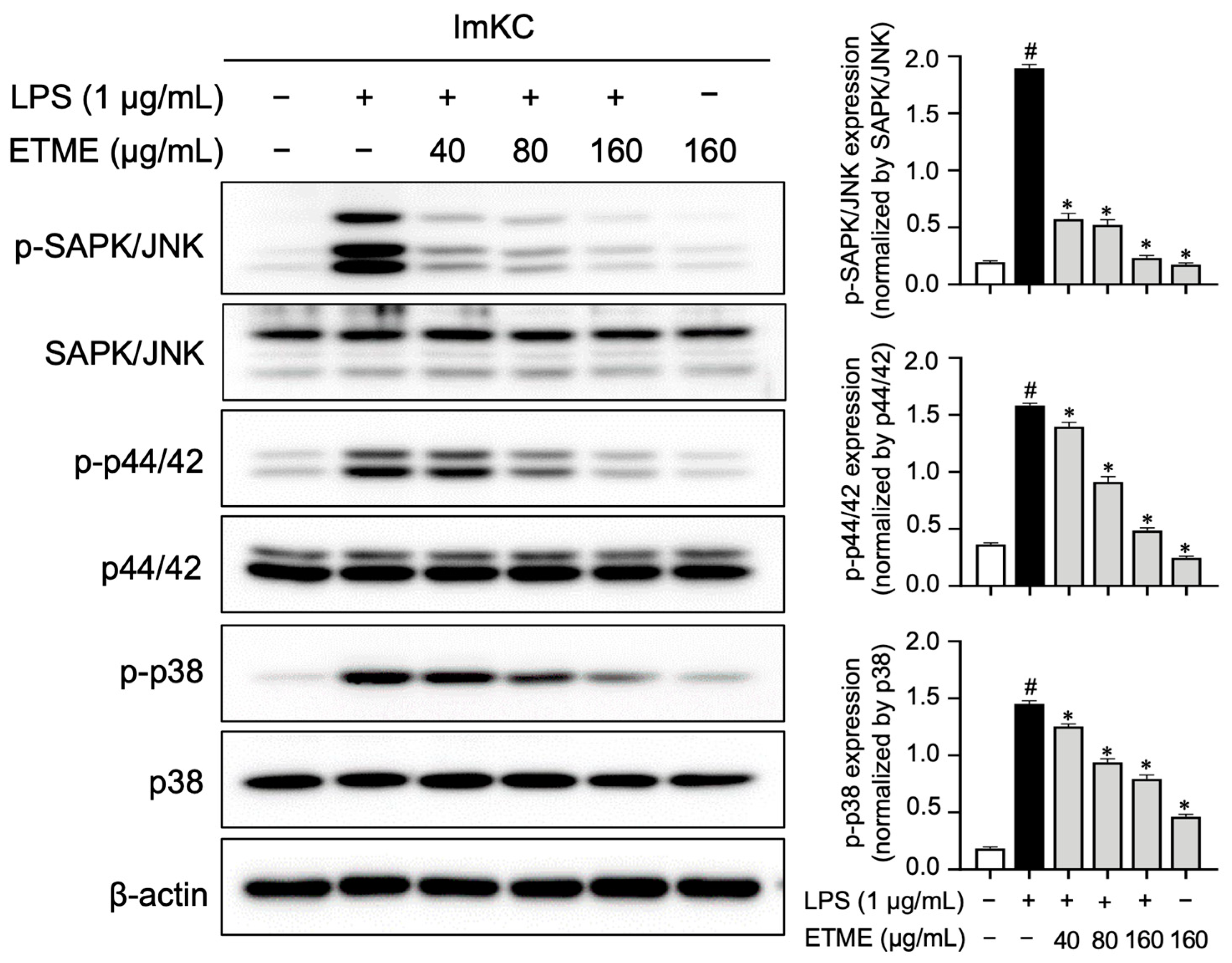 Antioxidants 12 01792 g008