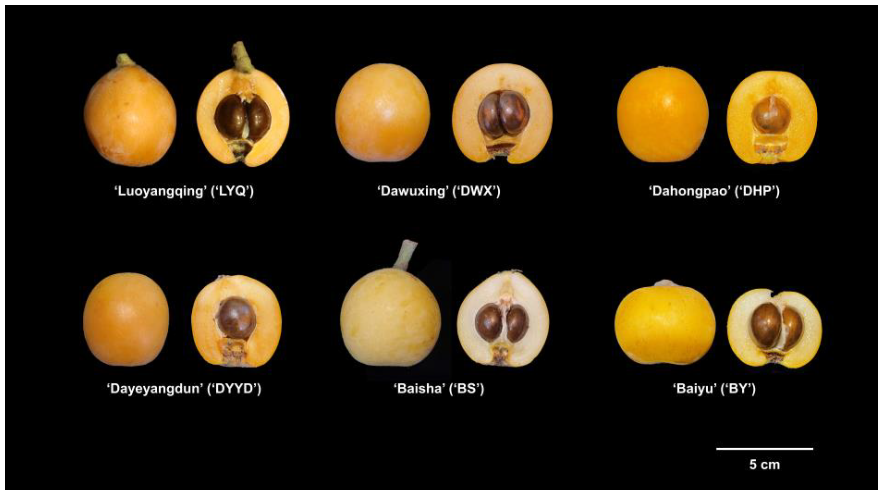 Antioxidants 12 01795 g001