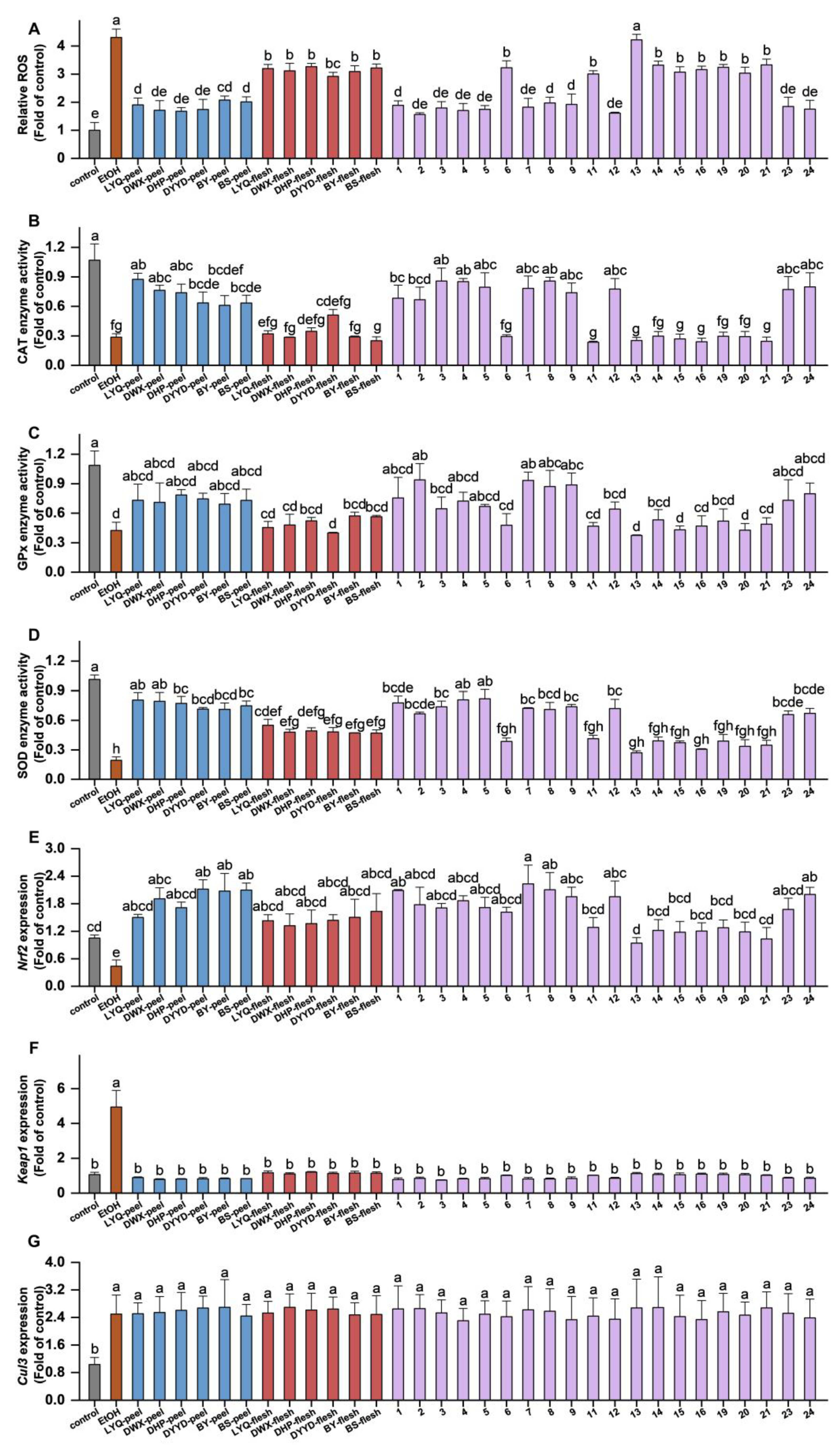 Antioxidants 12 01795 g006