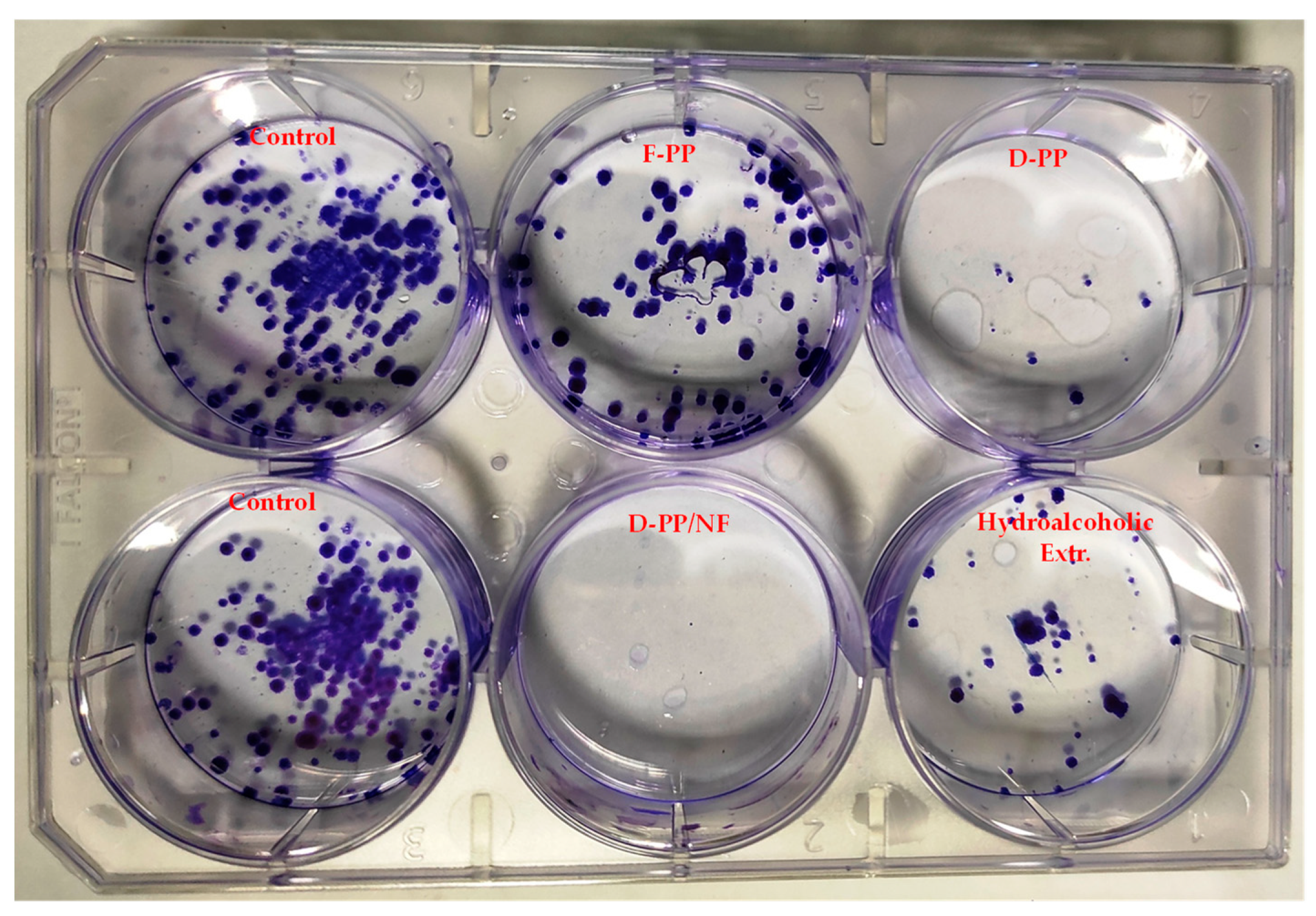 Antioxidants 12 01796 g011