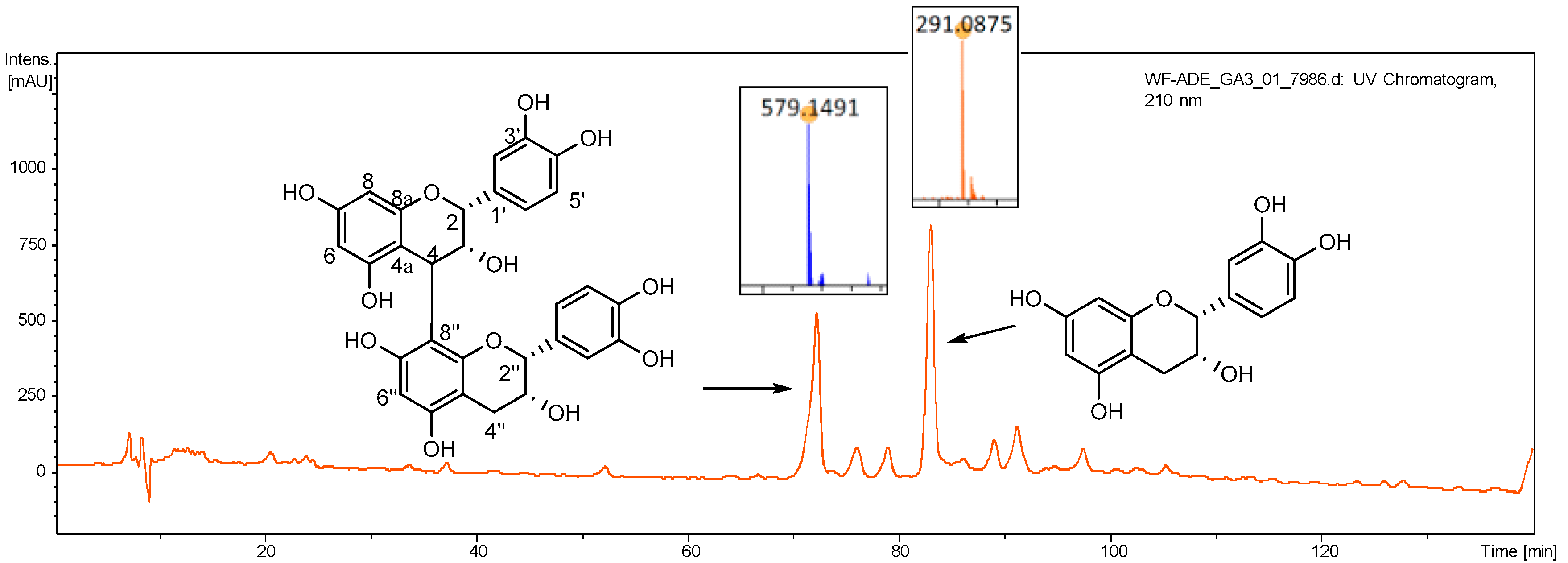 Antioxidants 12 01802 g001
