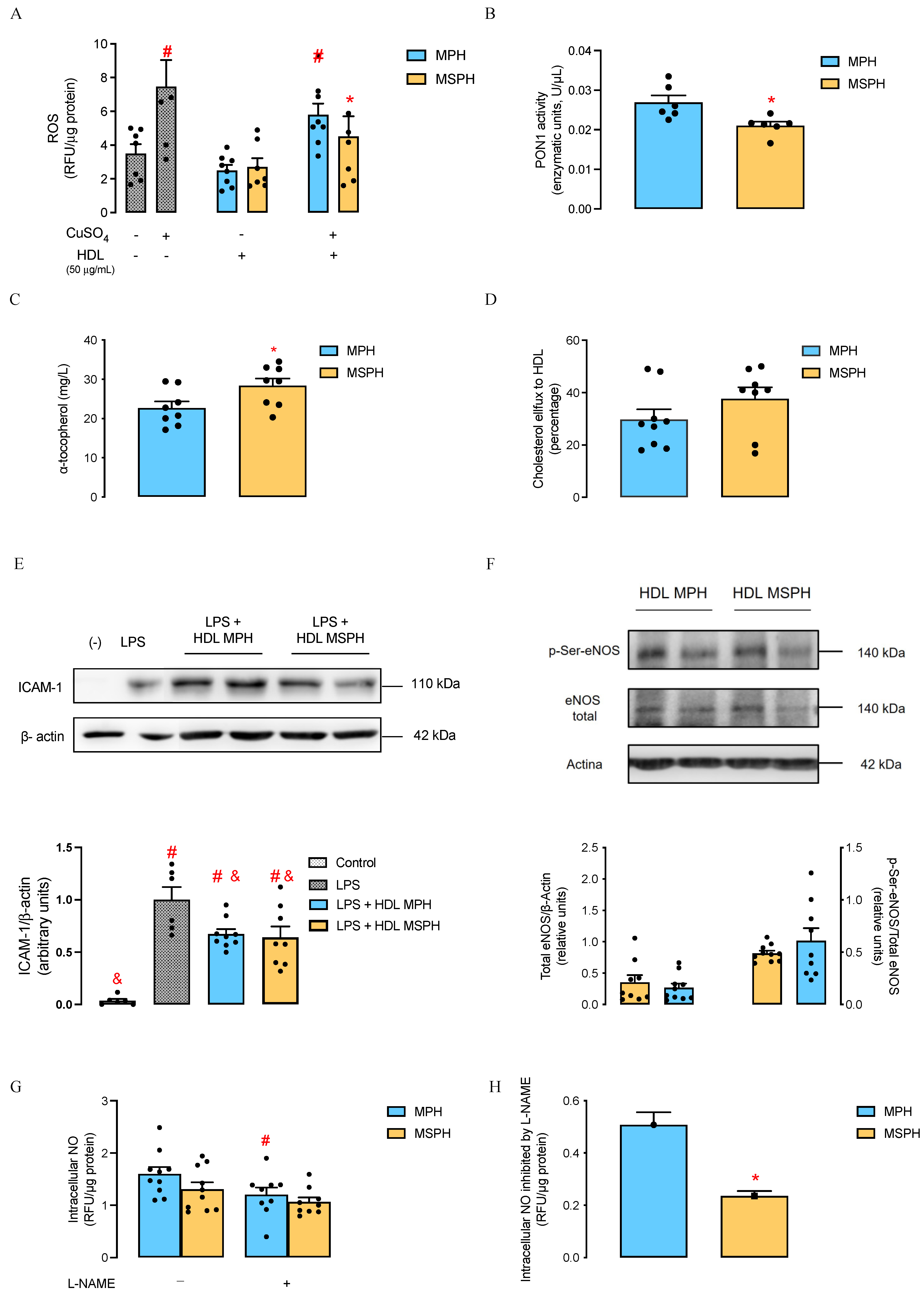Antioxidants 12 01804 g002