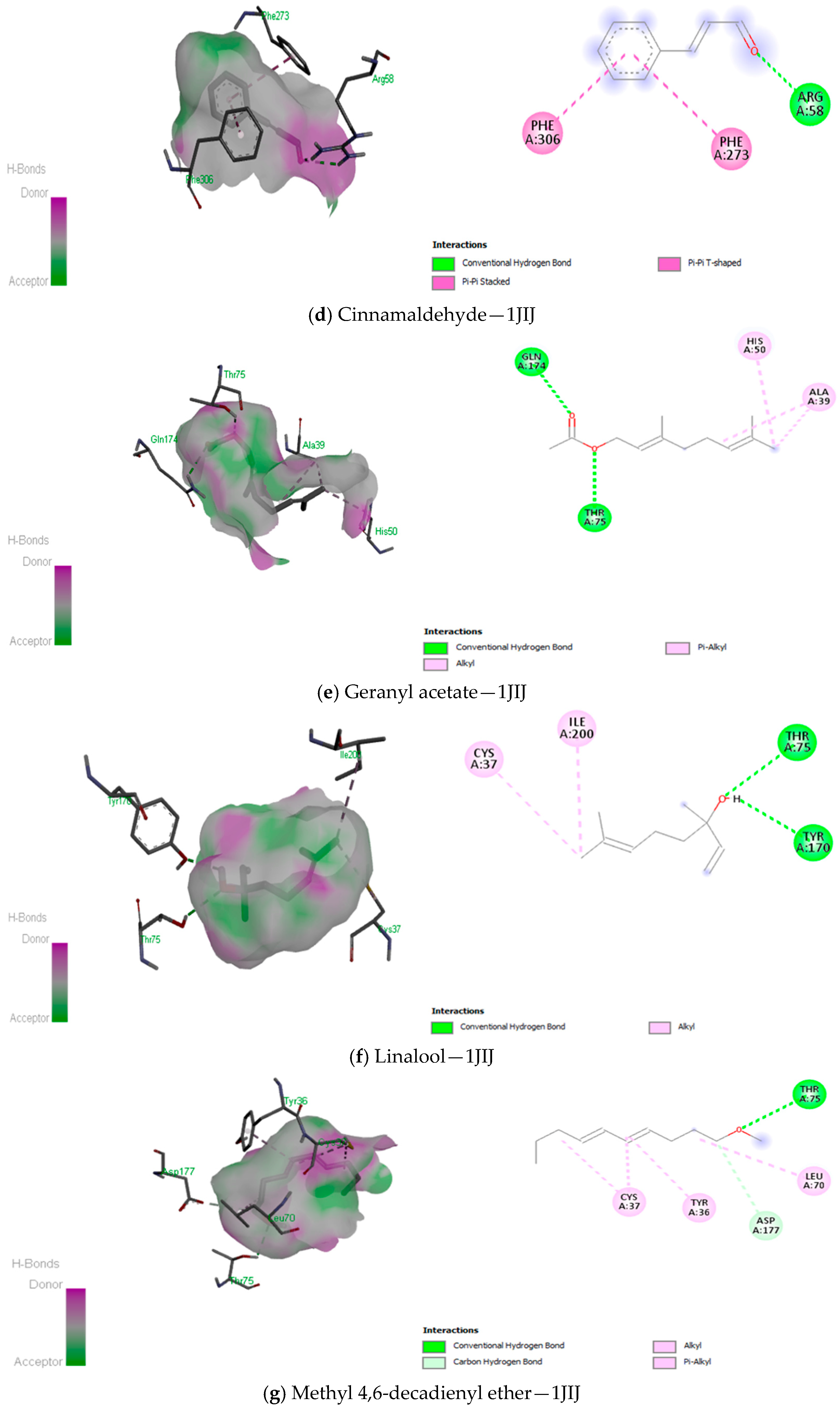 Antioxidants 12 01807 g008b