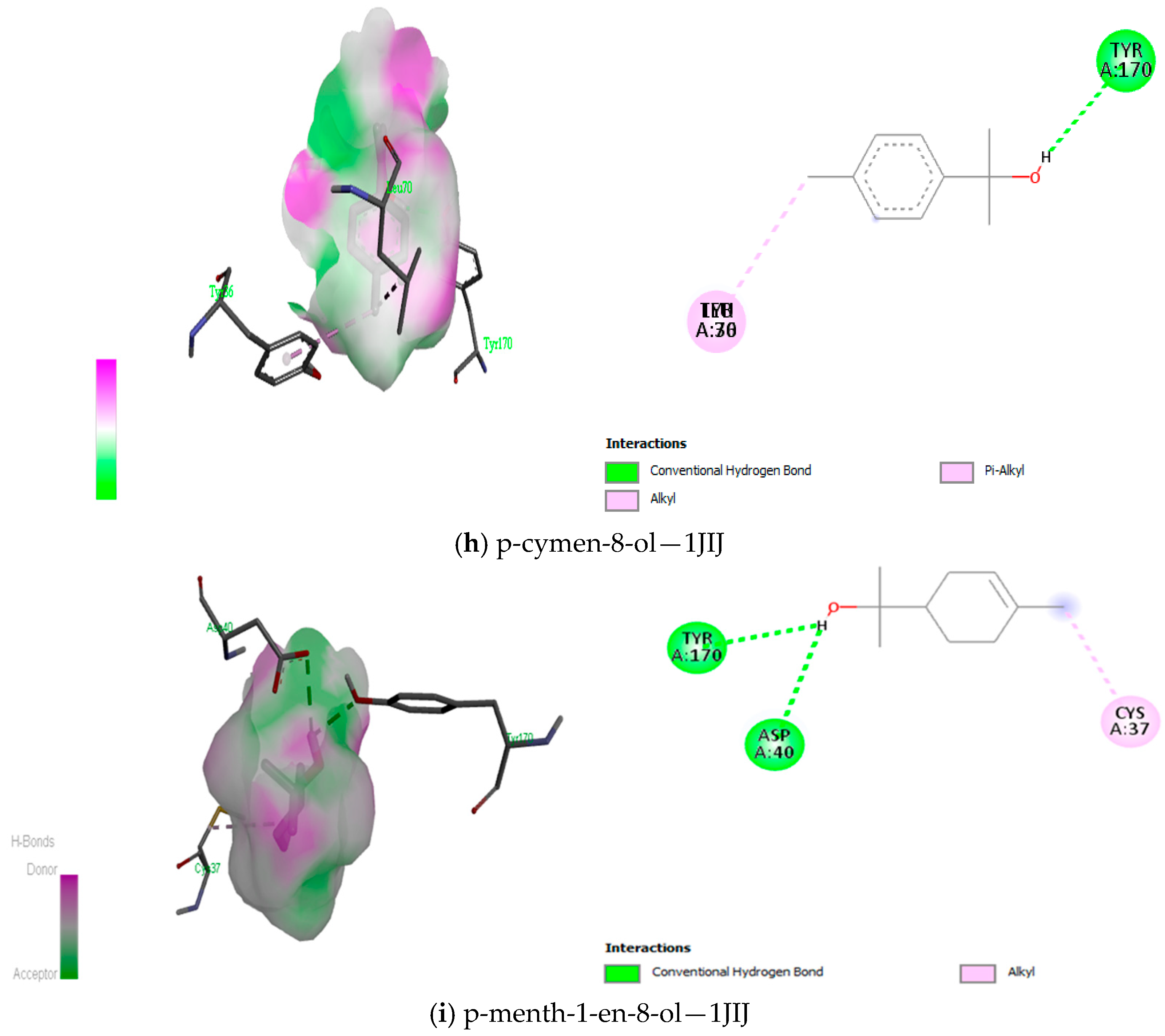 Antioxidants 12 01807 g008c