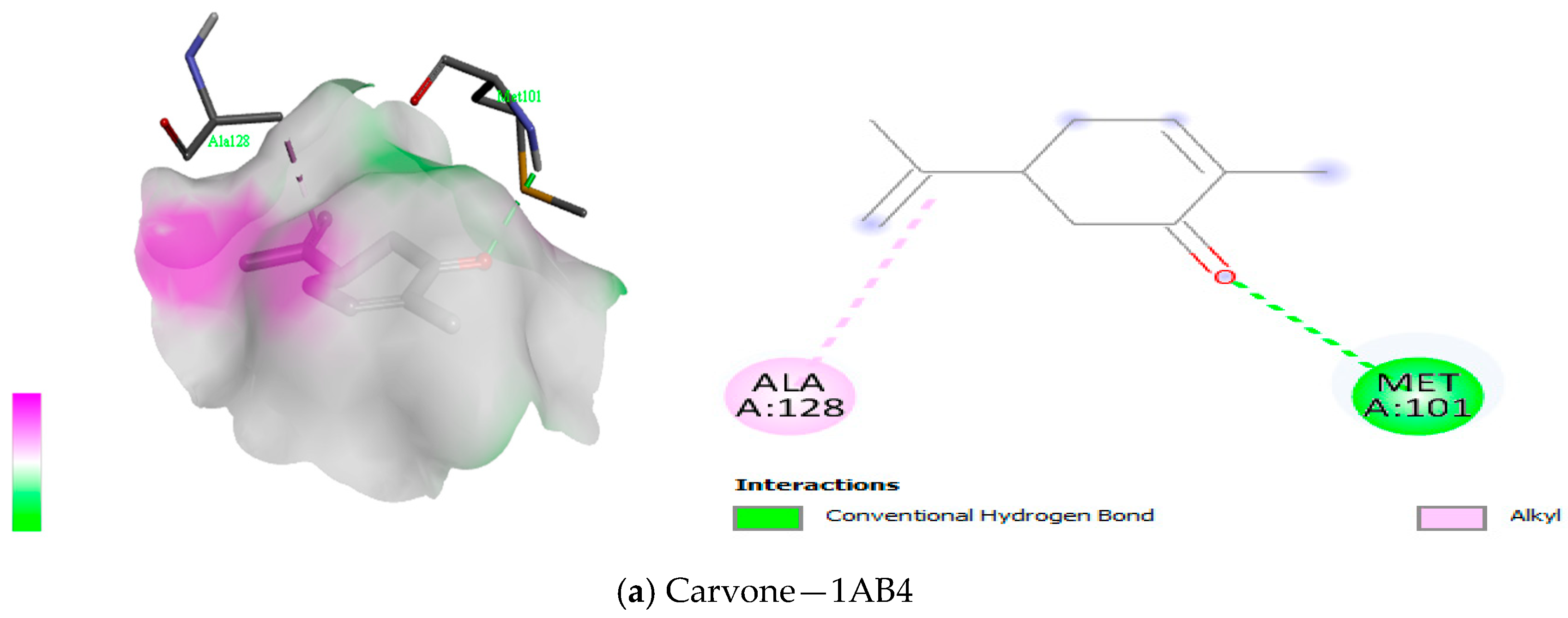 Antioxidants 12 01807 g009a