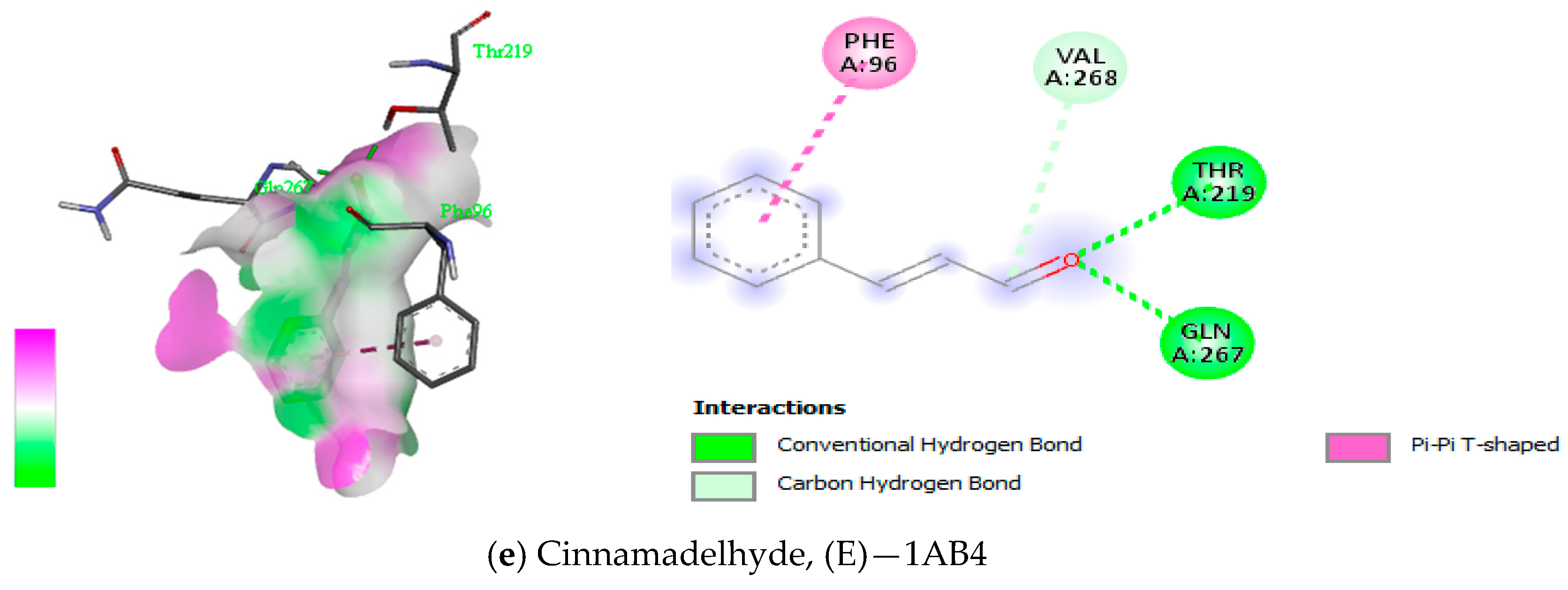 Antioxidants 12 01807 g009c