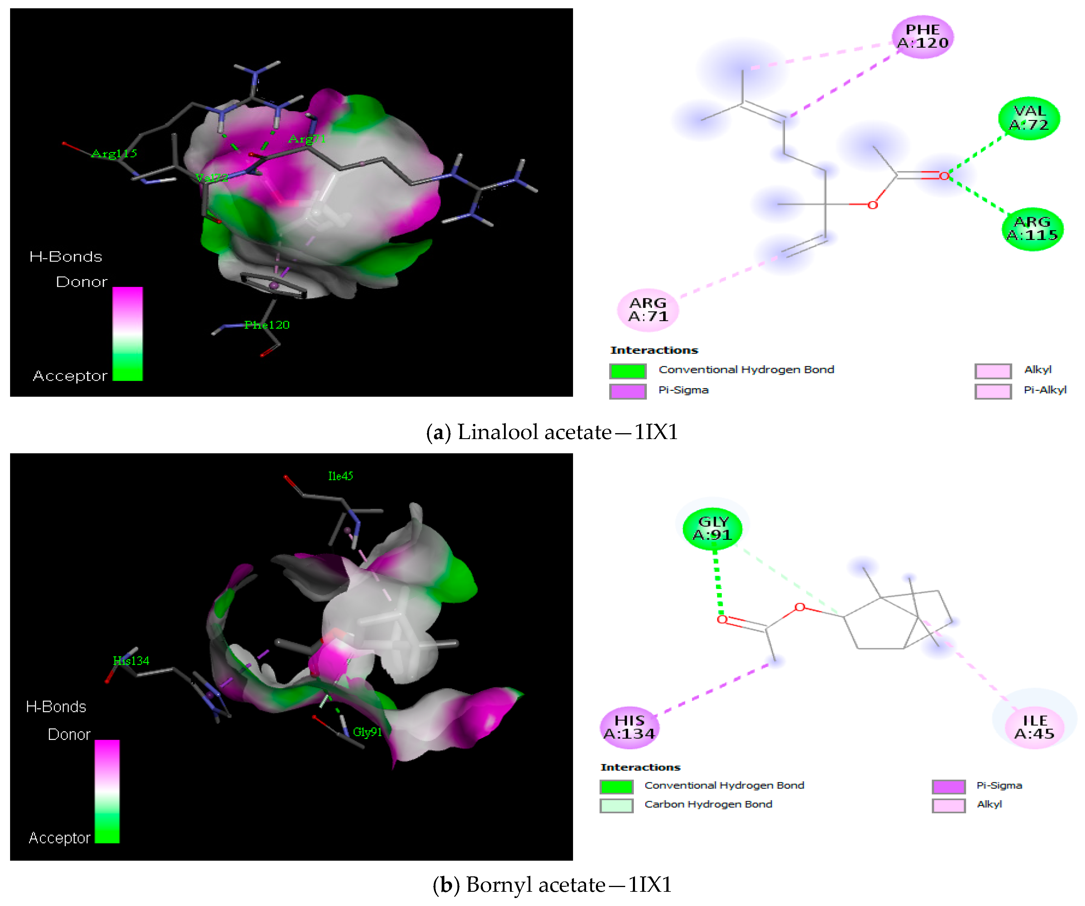 Antioxidants 12 01807 g010a